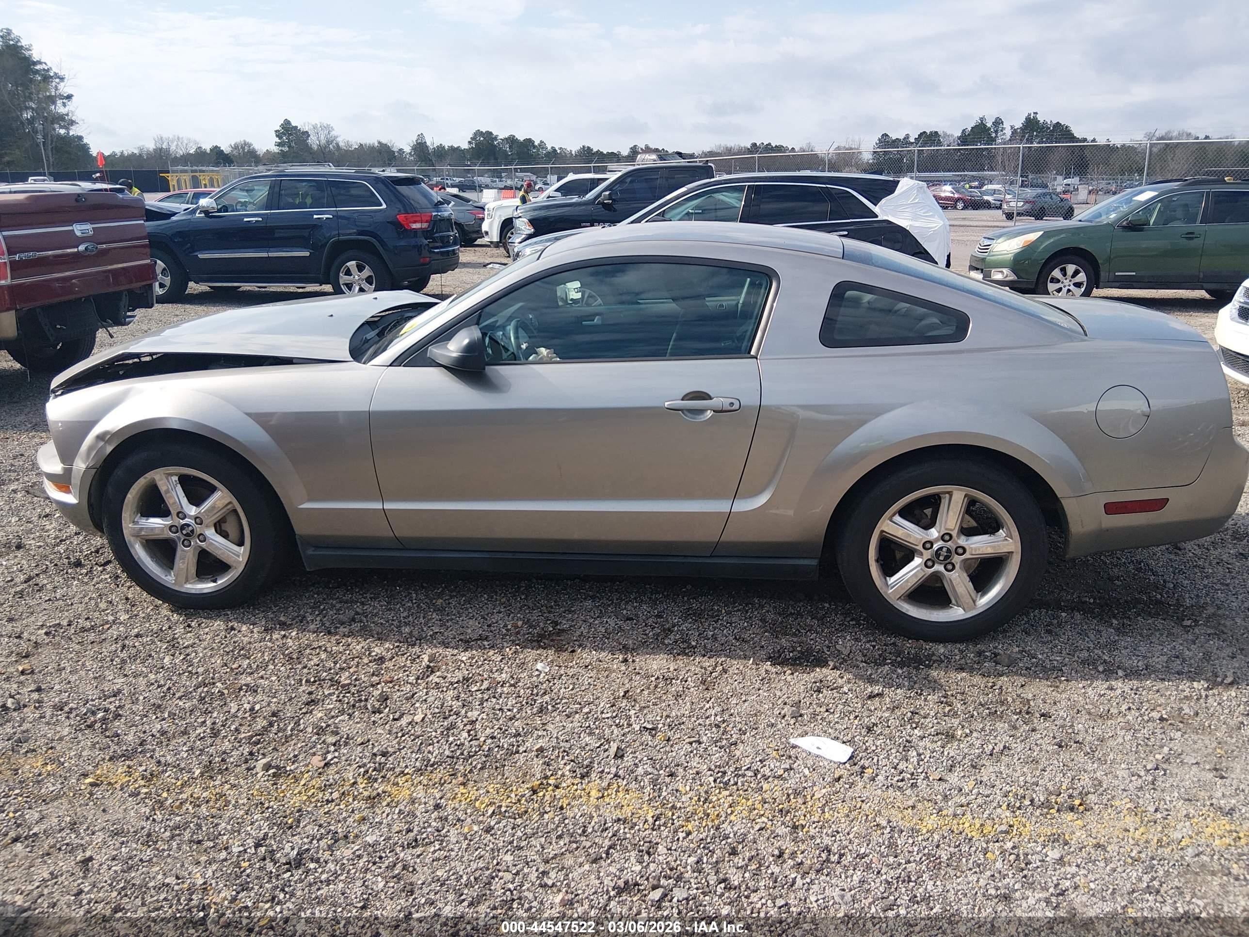 2008 Ford Mustang V6 Deluxe/v6 Premium Серый vin: 1ZVHT80N585115418