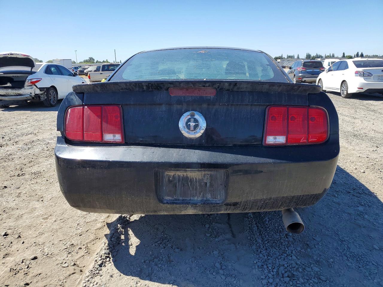 2008 Ford Mustang Black vin: 1ZVHT80N585121977