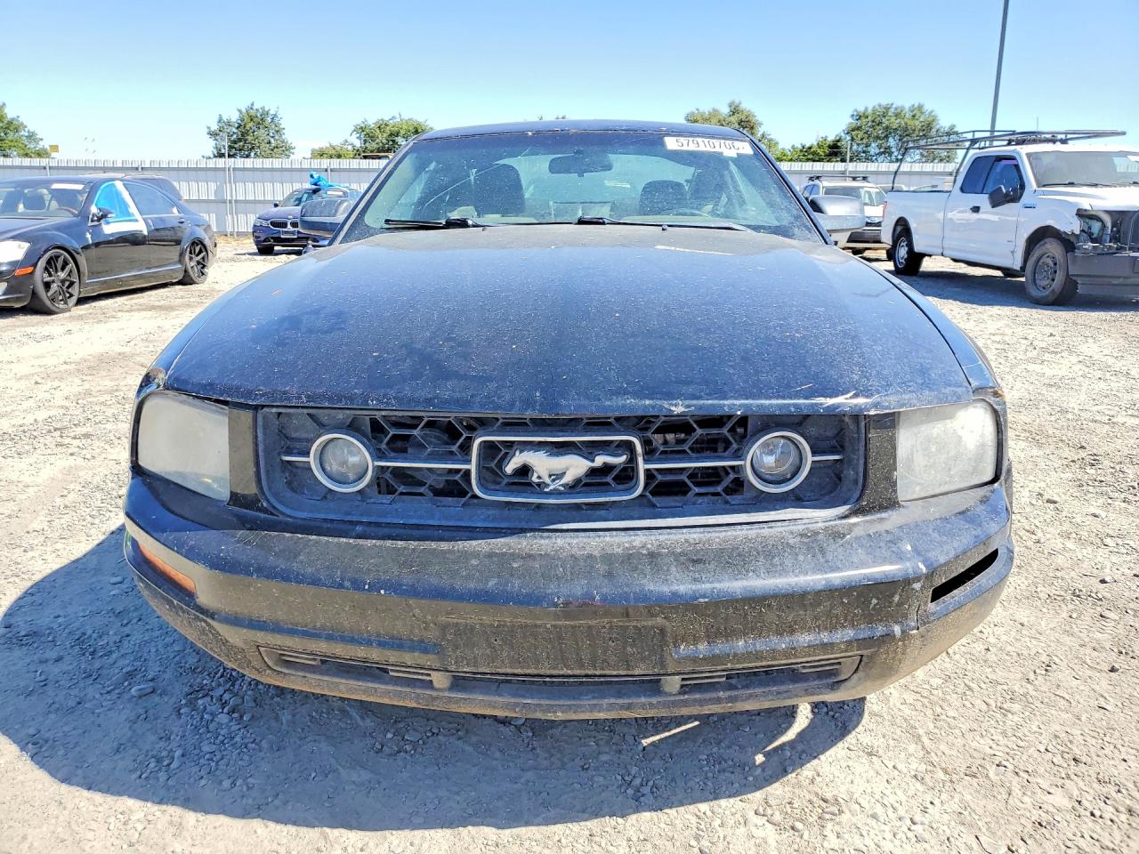 2008 Ford Mustang Black vin: 1ZVHT80N585121977