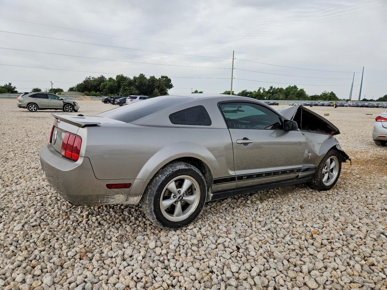 2008 Ford Mustang Gray vin: 1ZVHT80N585122191