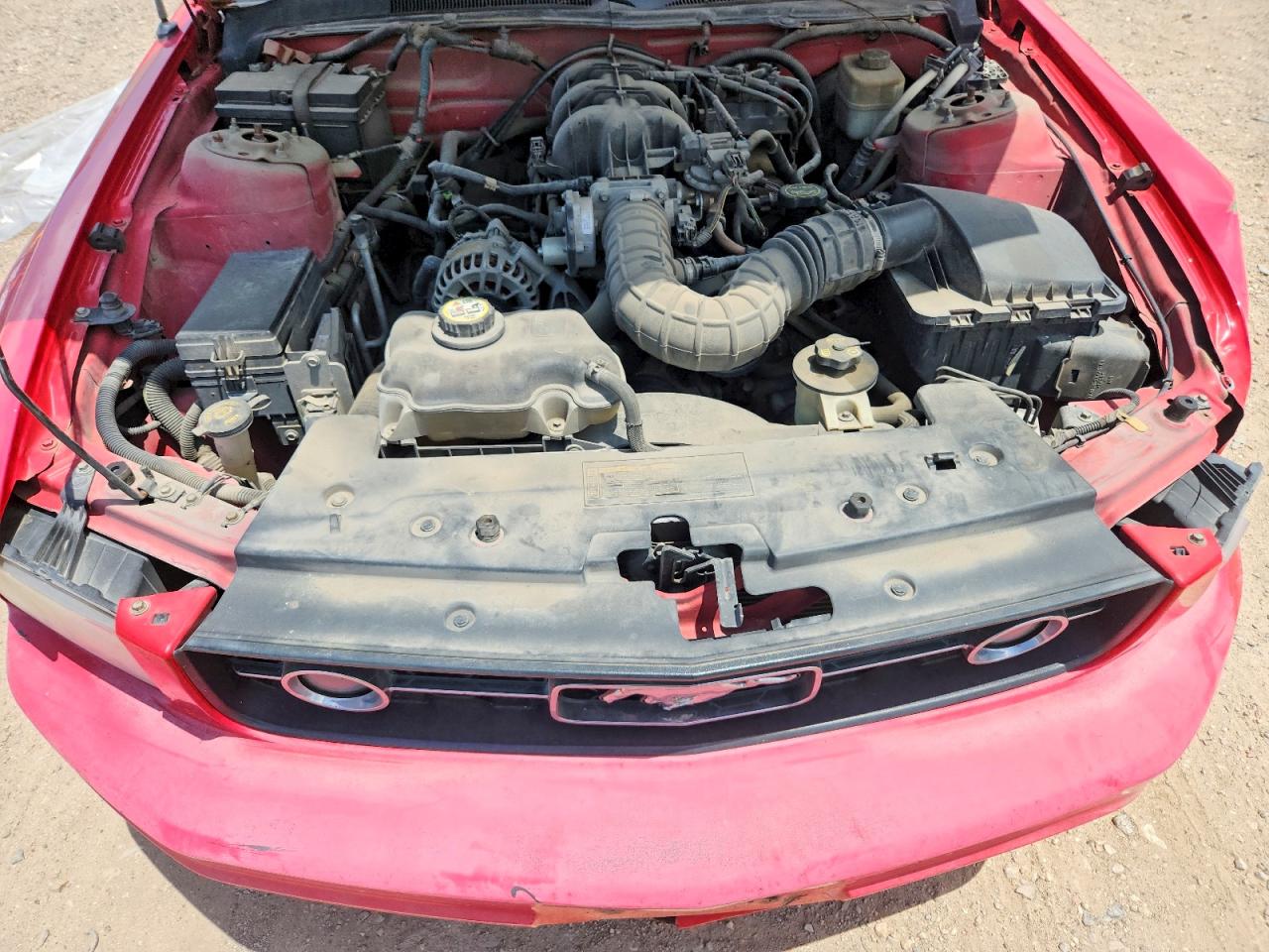 2008 Ford Mustang Red vin: 1ZVHT80N585138326