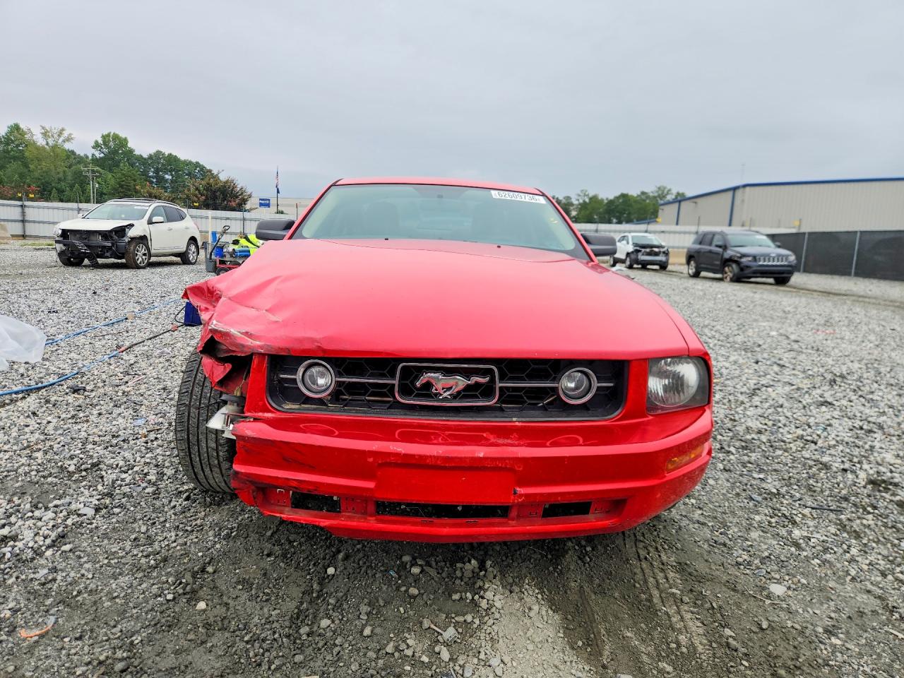 2008 Ford Mustang Red vin: 1ZVHT80N585148774