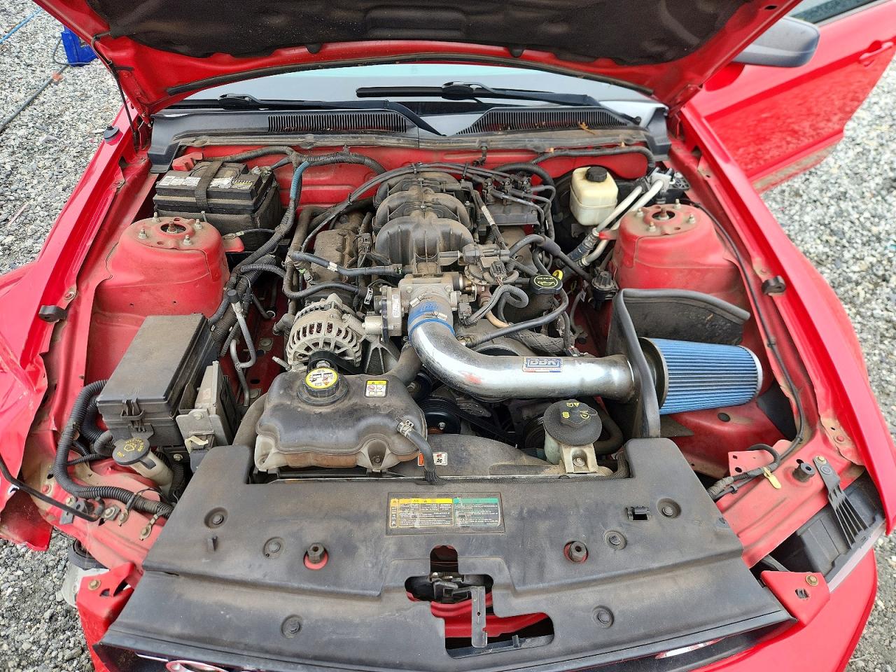 2008 Ford Mustang Red vin: 1ZVHT80N585148774