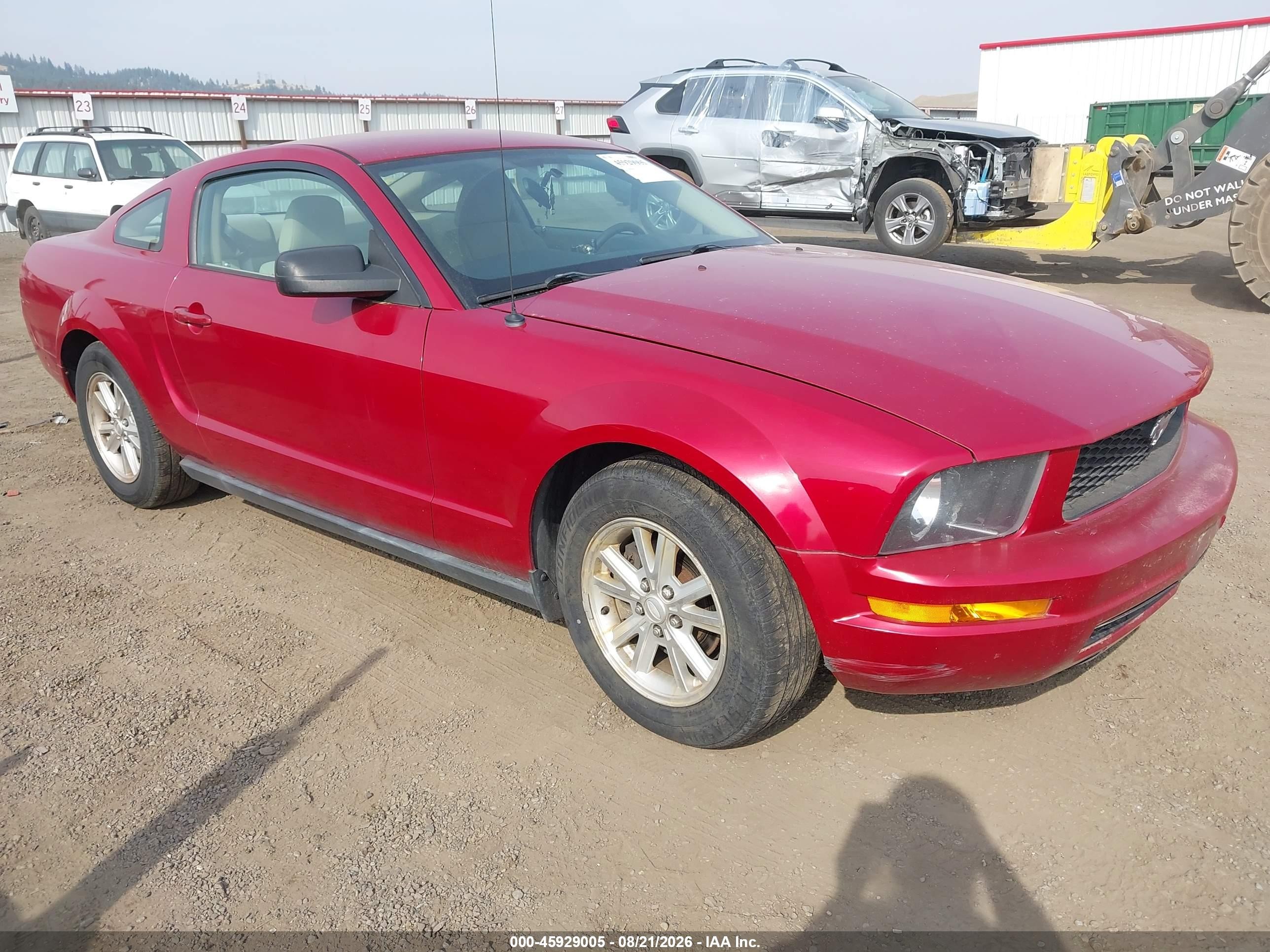 2008 Ford Mustang V6 Deluxe/v6 Premium Red vin: 1ZVHT80N585169625