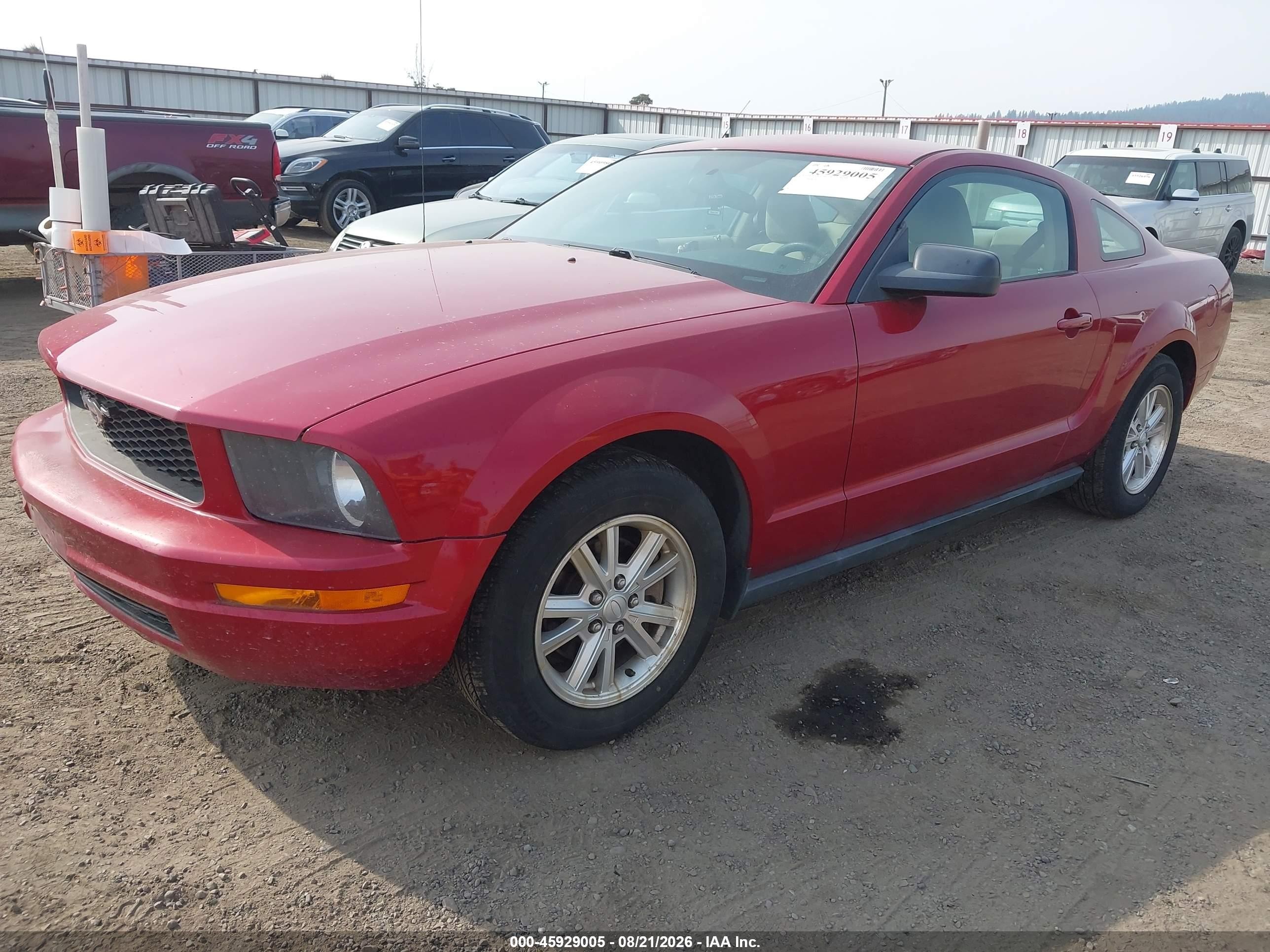 2008 Ford Mustang V6 Deluxe/v6 Premium Red vin: 1ZVHT80N585169625