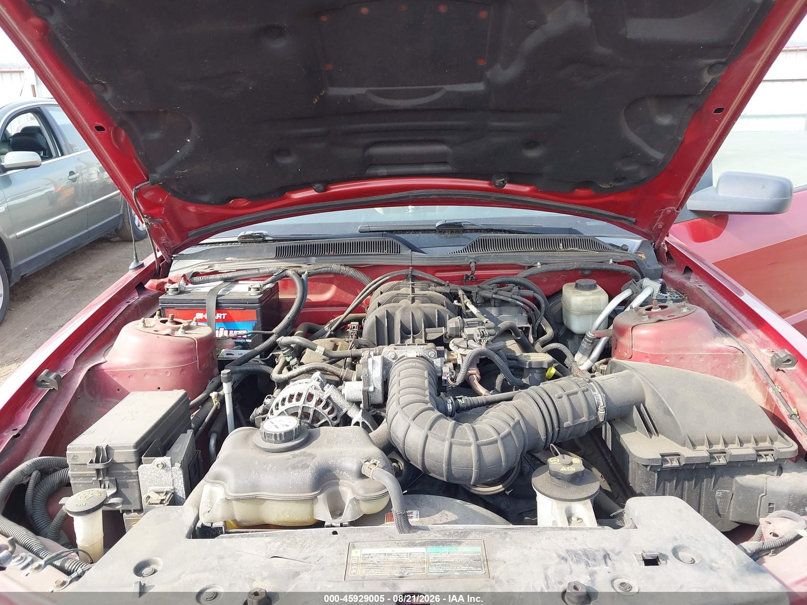 2008 Ford Mustang V6 Deluxe/v6 Premium Red vin: 1ZVHT80N585169625