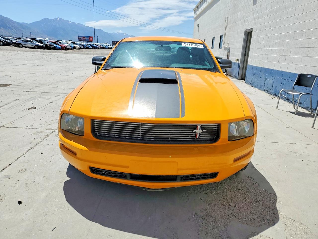 2008 Ford Mustang Orange vin: 1ZVHT80N585196288