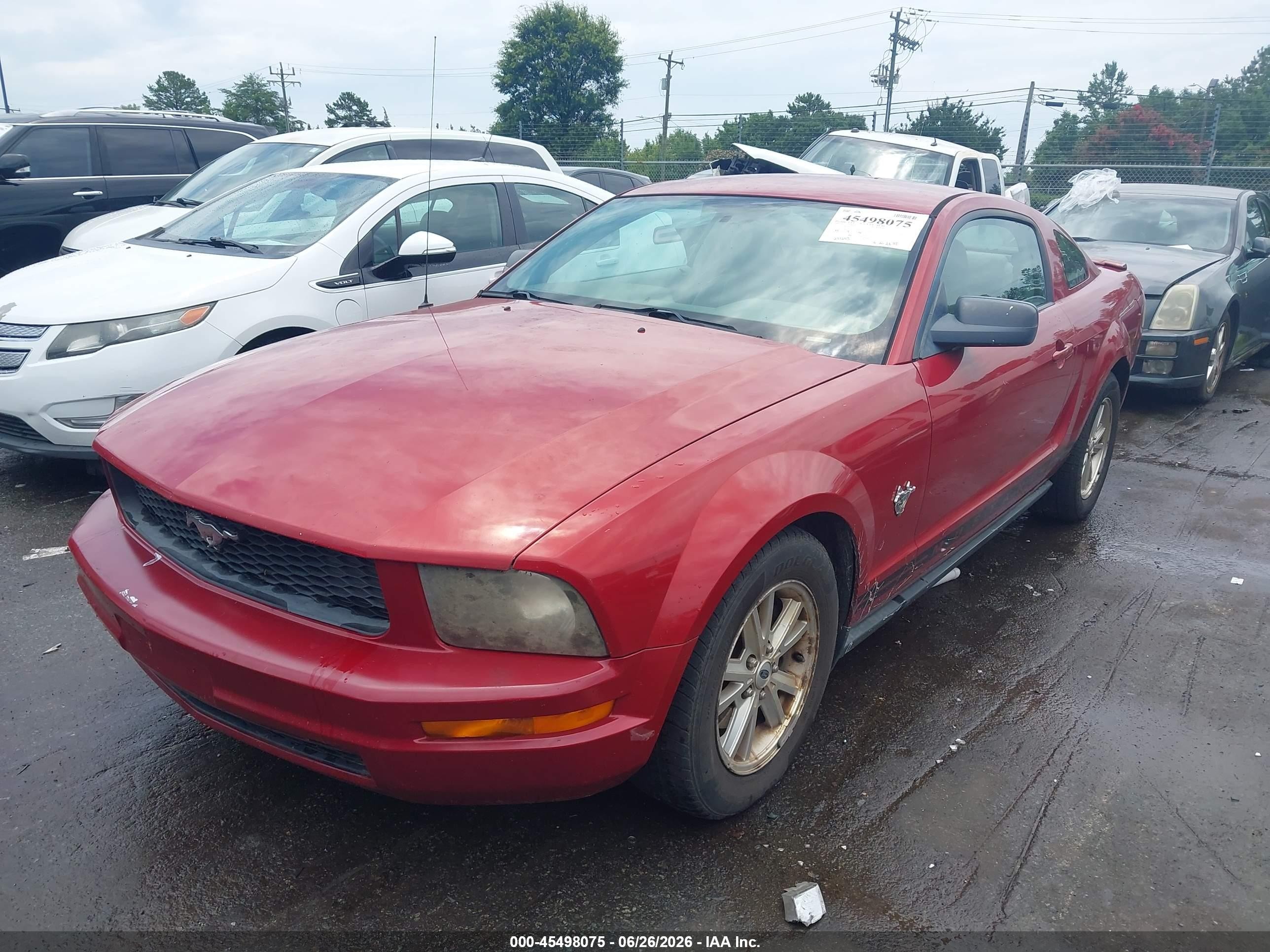 2009 Ford Mustang V6 Red vin: 1ZVHT80N595104937