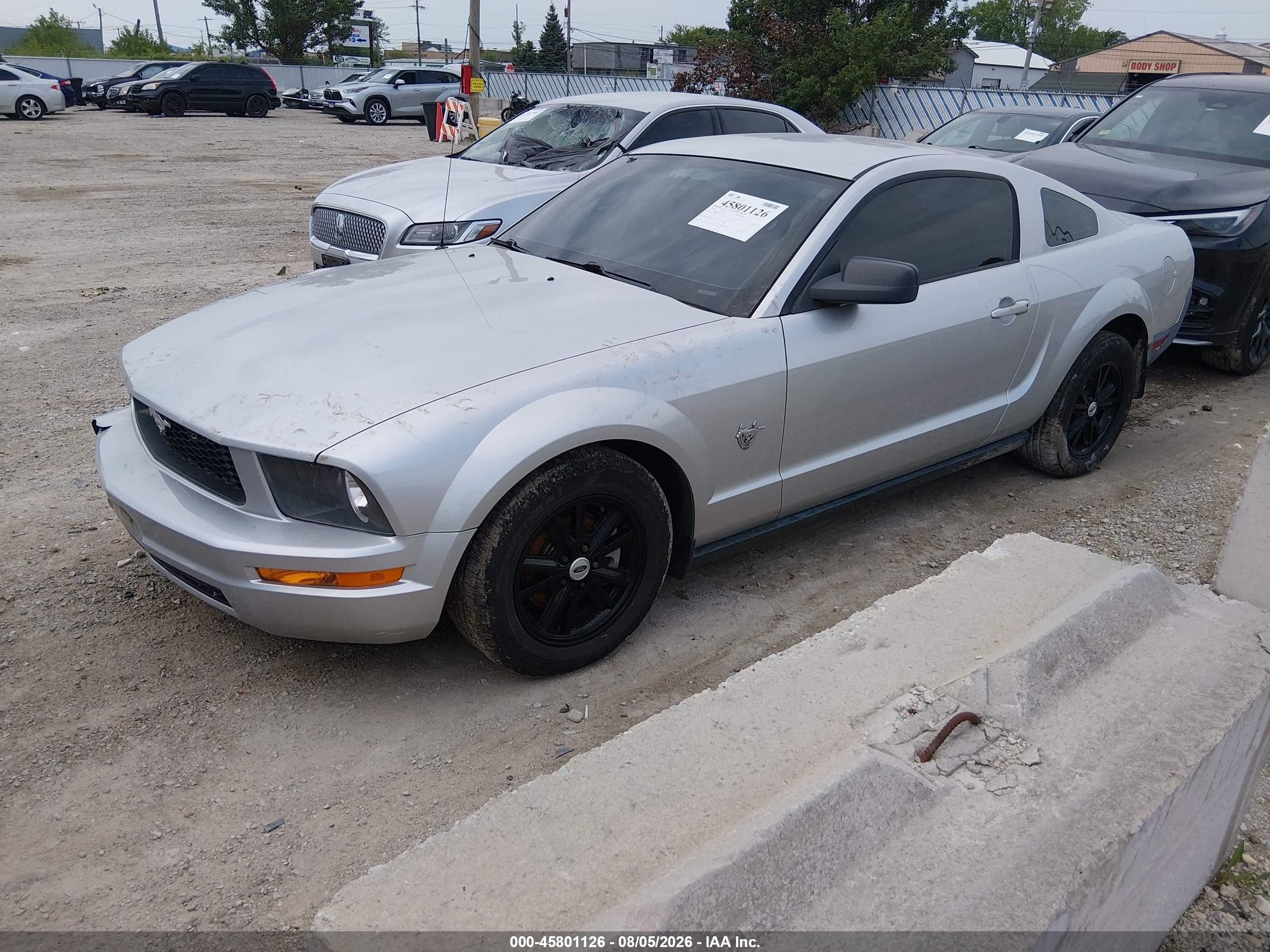 2009 Ford Mustang V6/v6 Premium Silver vin: 1ZVHT80N595123150