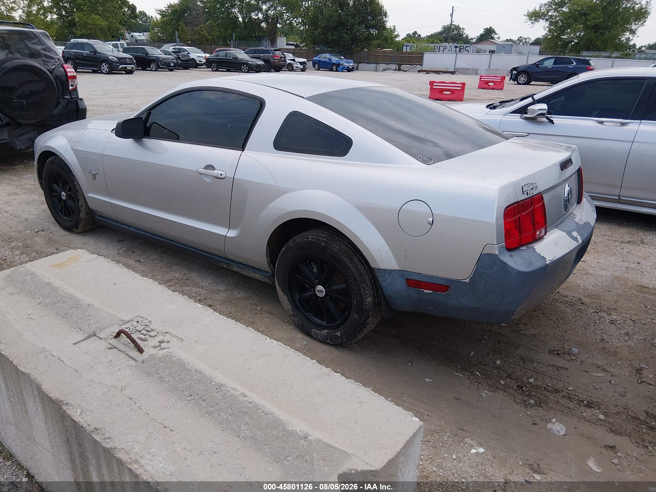 2009 Ford Mustang V6/v6 Premium Silver vin: 1ZVHT80N595123150