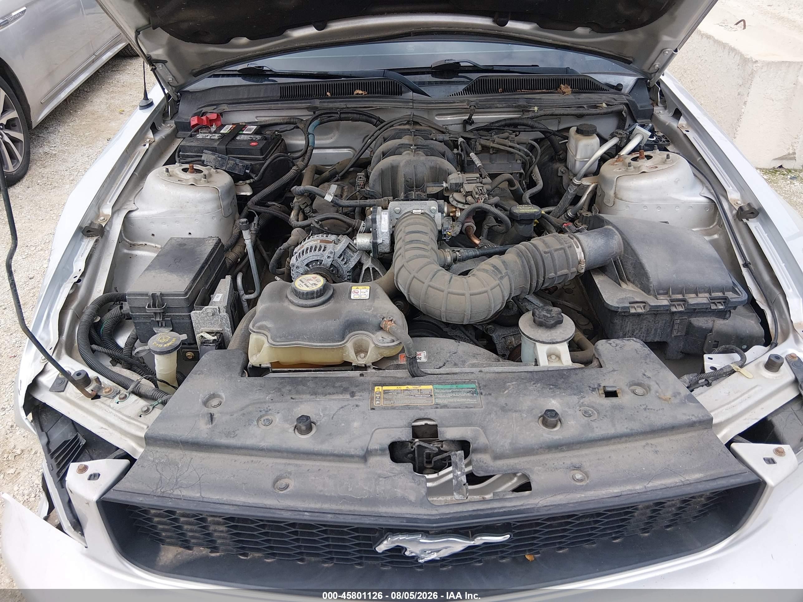 2009 Ford Mustang V6/v6 Premium Silver vin: 1ZVHT80N595123150