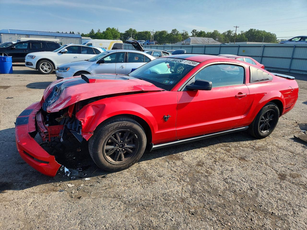 2009 Ford Mustang Red vin: 1ZVHT80N595141714