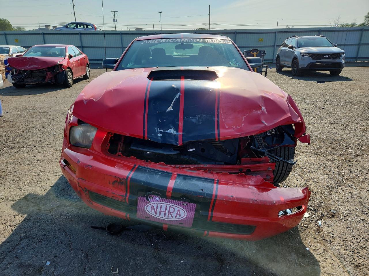 2009 Ford Mustang Red vin: 1ZVHT80N595141714