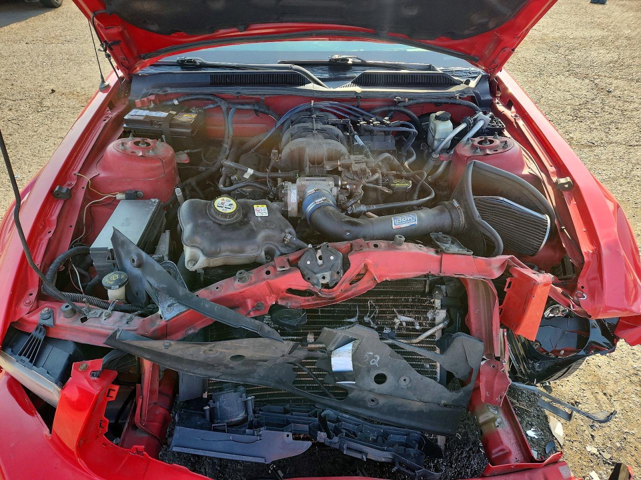 2009 Ford Mustang Red vin: 1ZVHT80N595141714