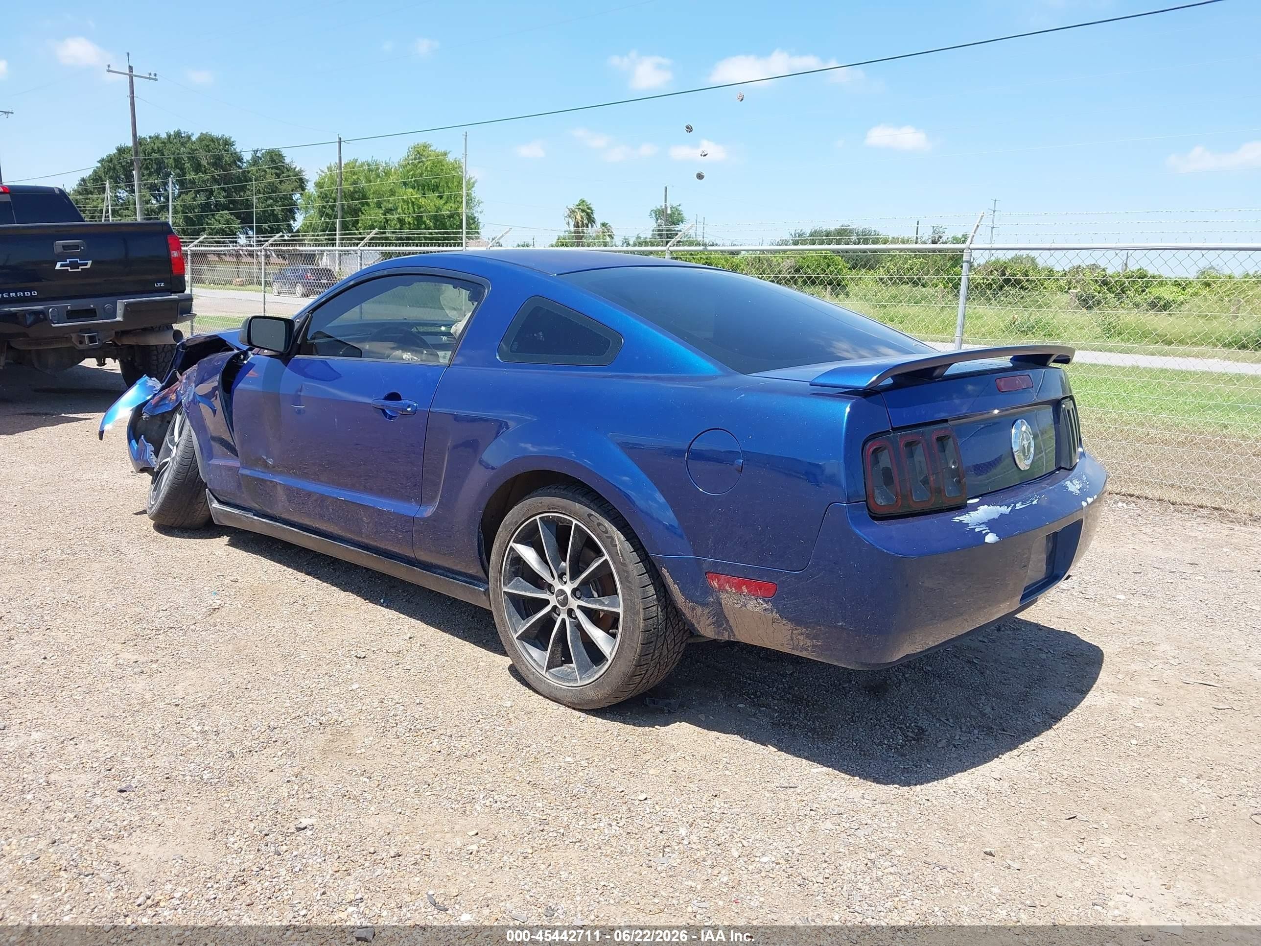 2009 Ford Mustang V6/v6 Premium Blue vin: 1ZVHT80N595144029