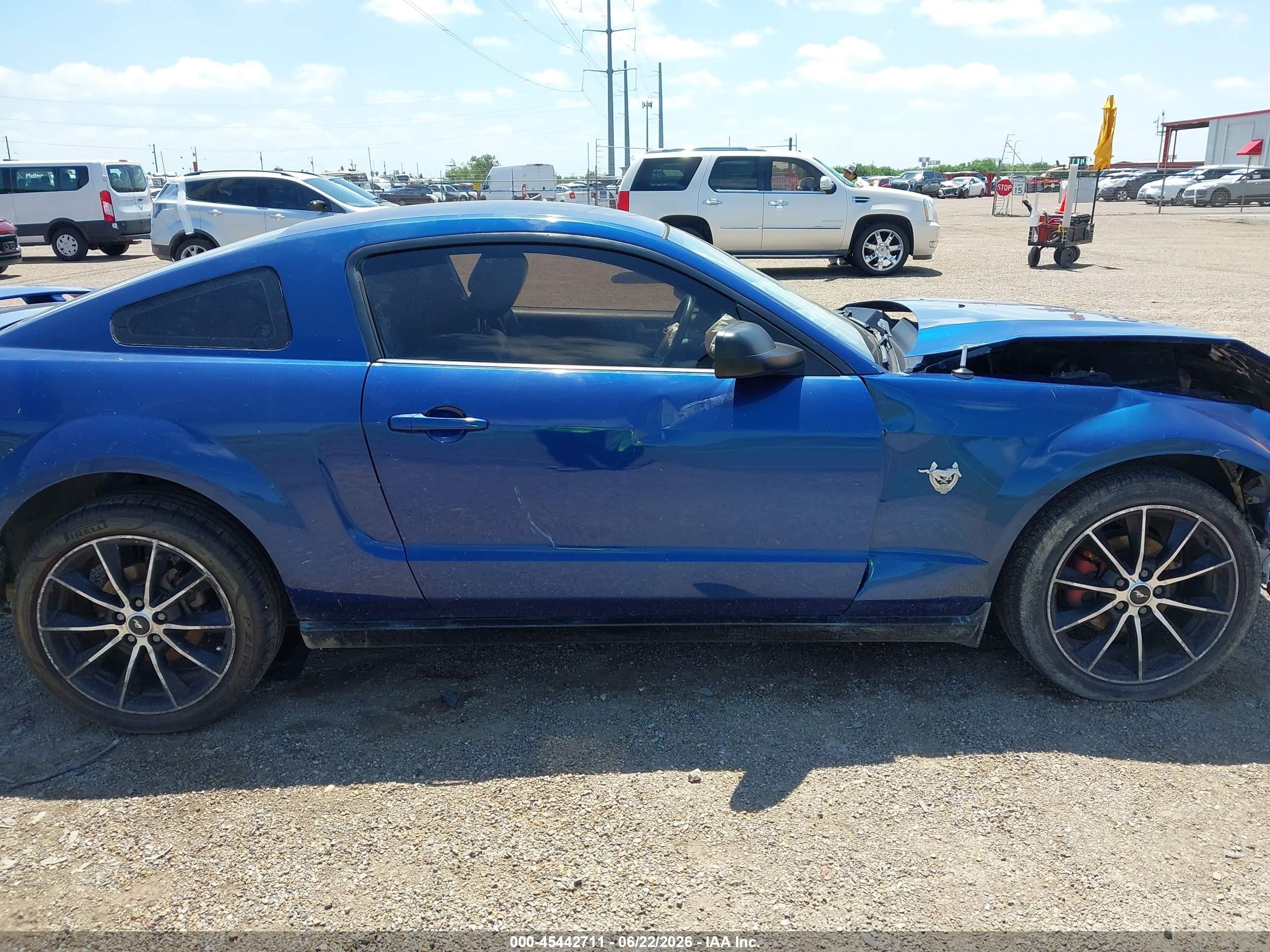 2009 Ford Mustang V6/v6 Premium Blue vin: 1ZVHT80N595144029