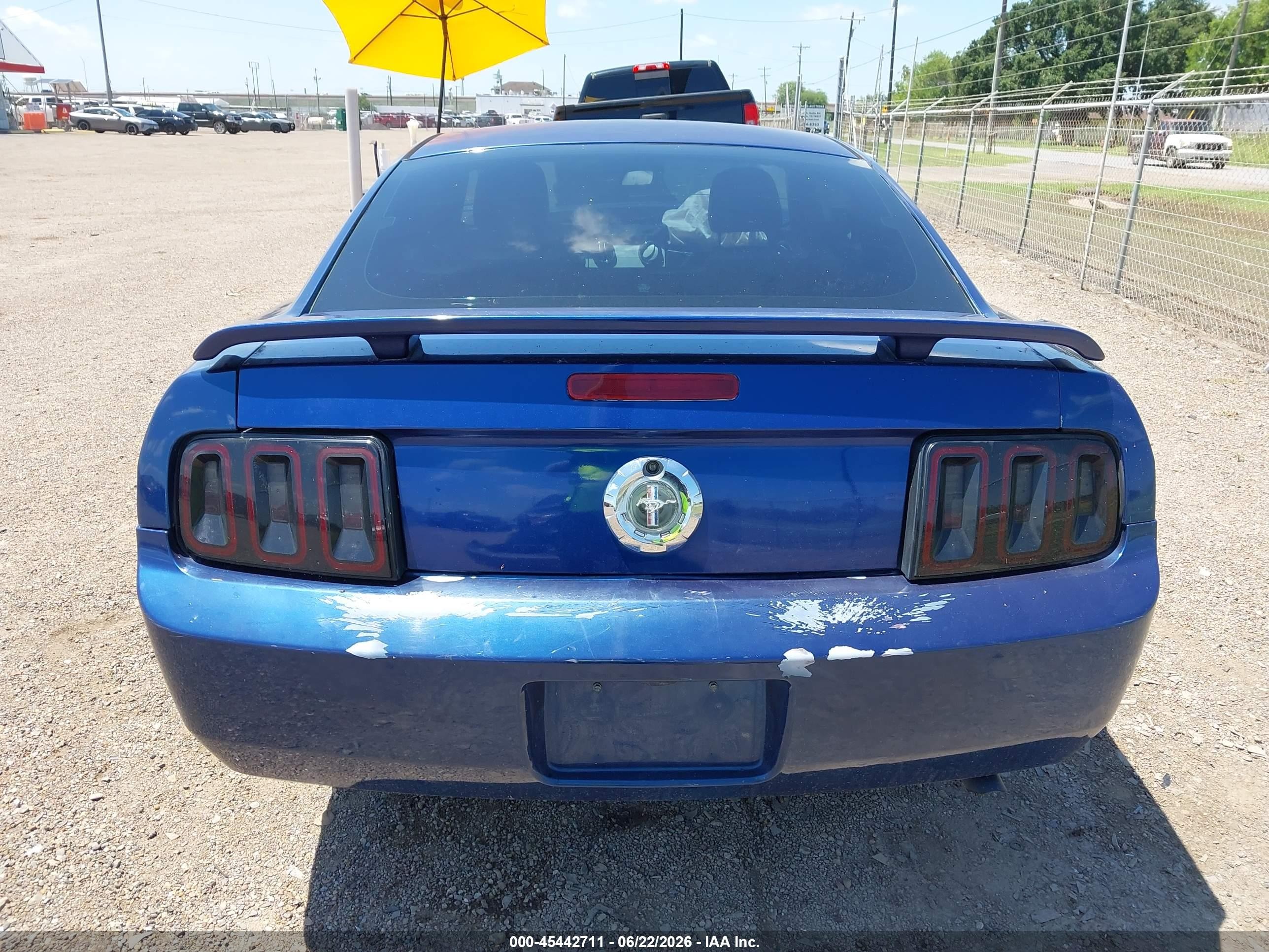 2009 Ford Mustang V6/v6 Premium Blue vin: 1ZVHT80N595144029