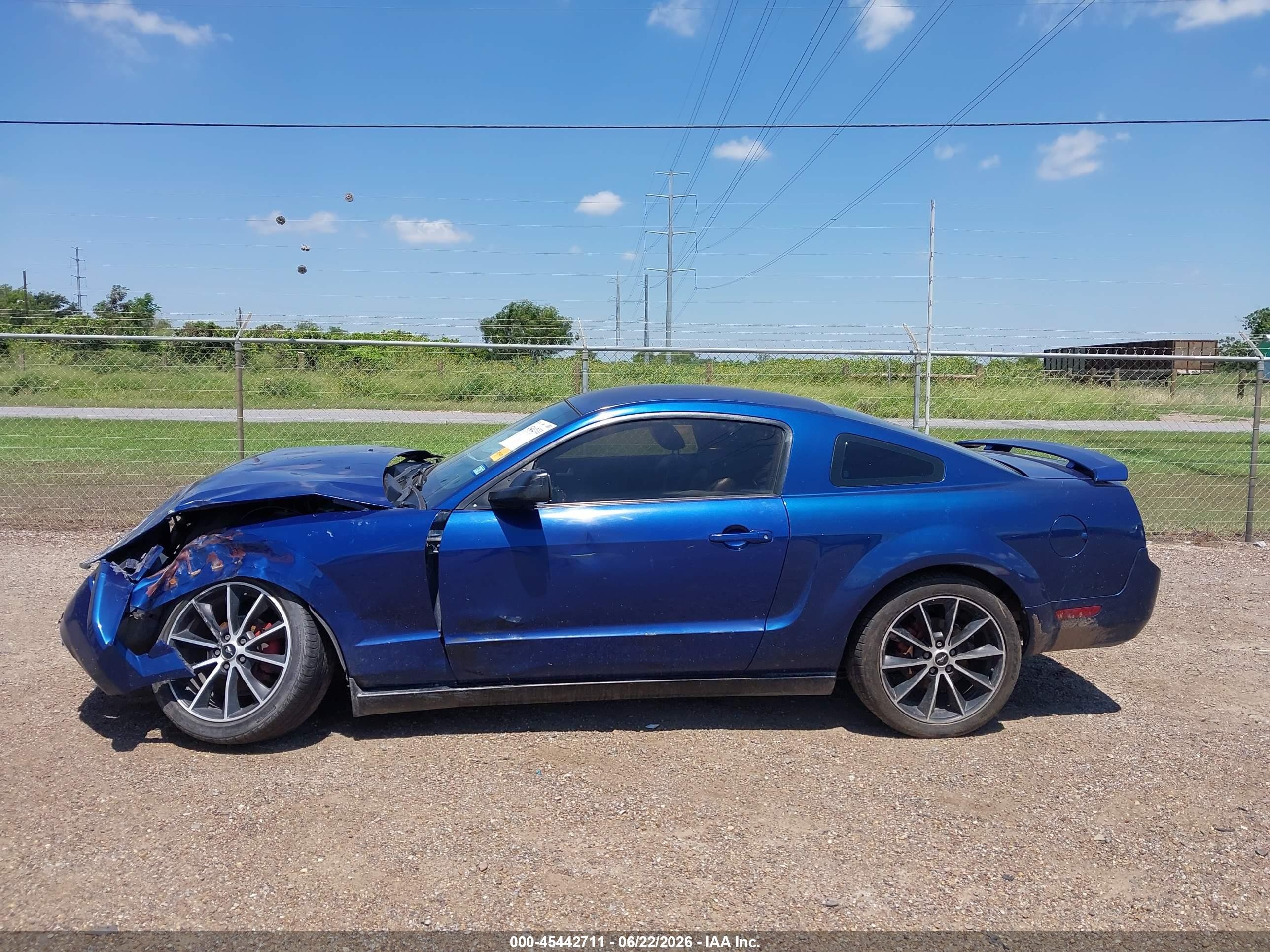 2009 Ford Mustang V6/v6 Premium Blue vin: 1ZVHT80N595144029