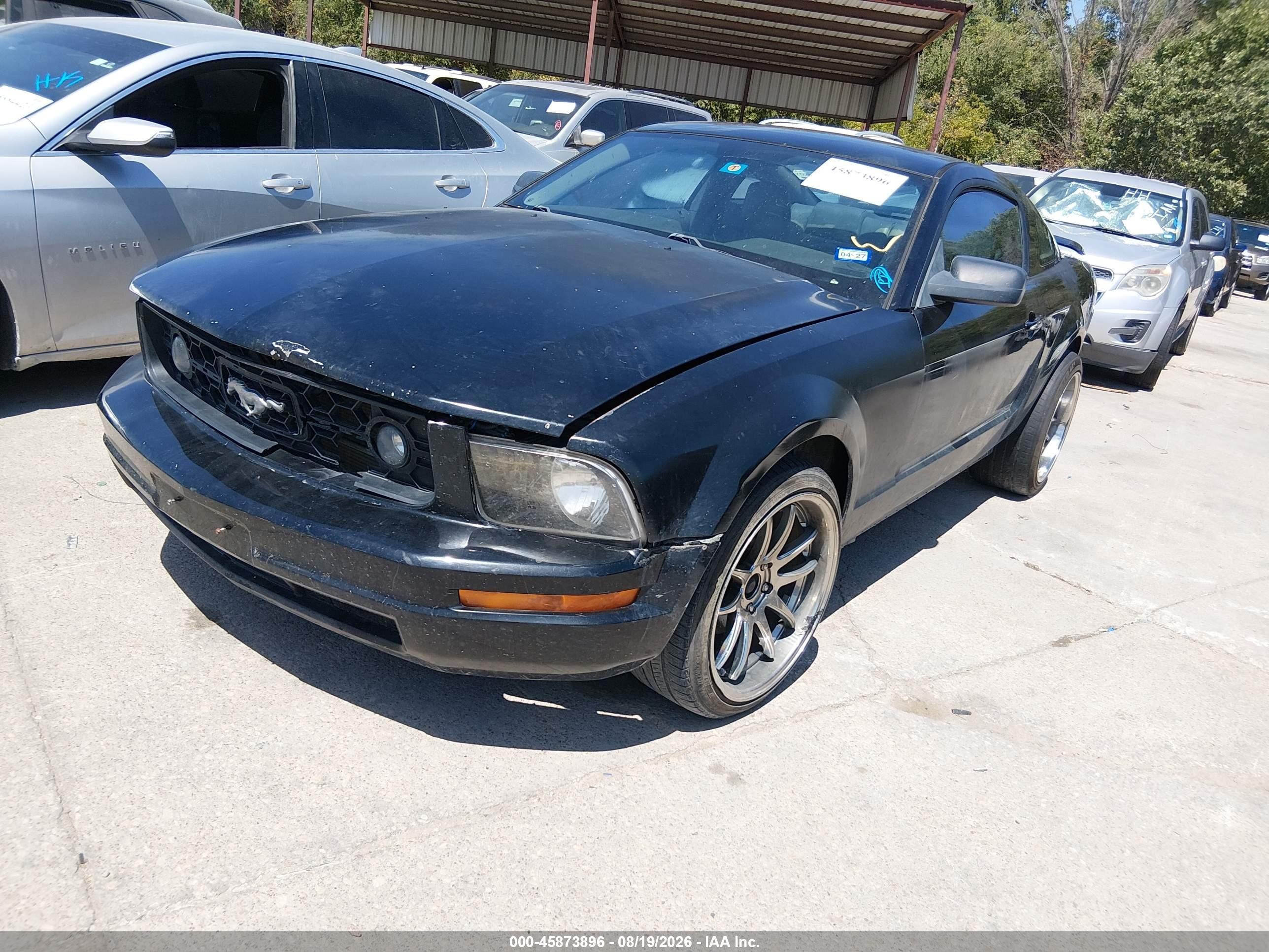 2006 Ford Mustang V6 Black vin: 1ZVHT80N665163152