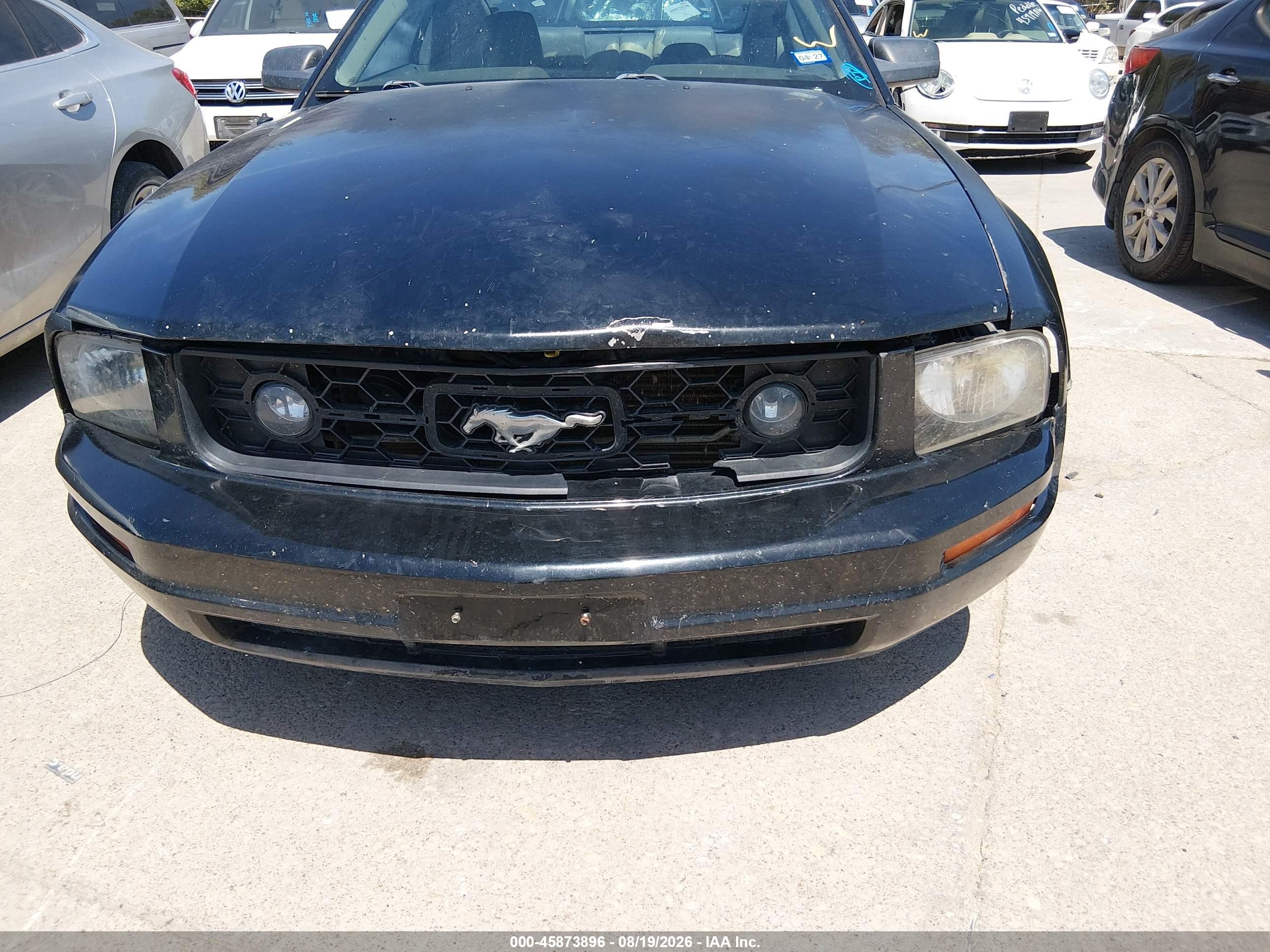 2006 Ford Mustang V6 Black vin: 1ZVHT80N665163152