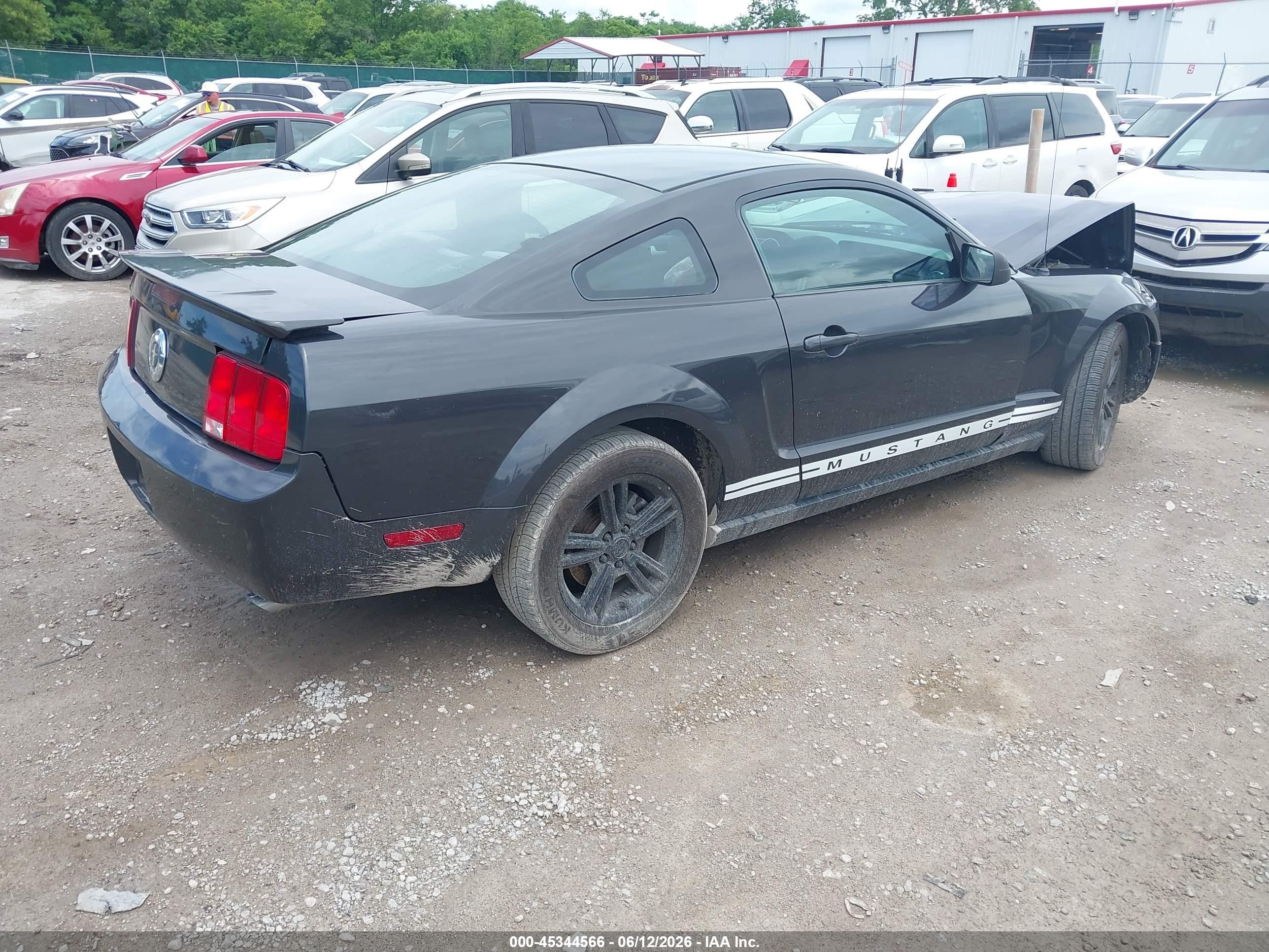 2008 Ford Mustang V6 Deluxe/v6 Premium Black vin: 1ZVHT80N685114746