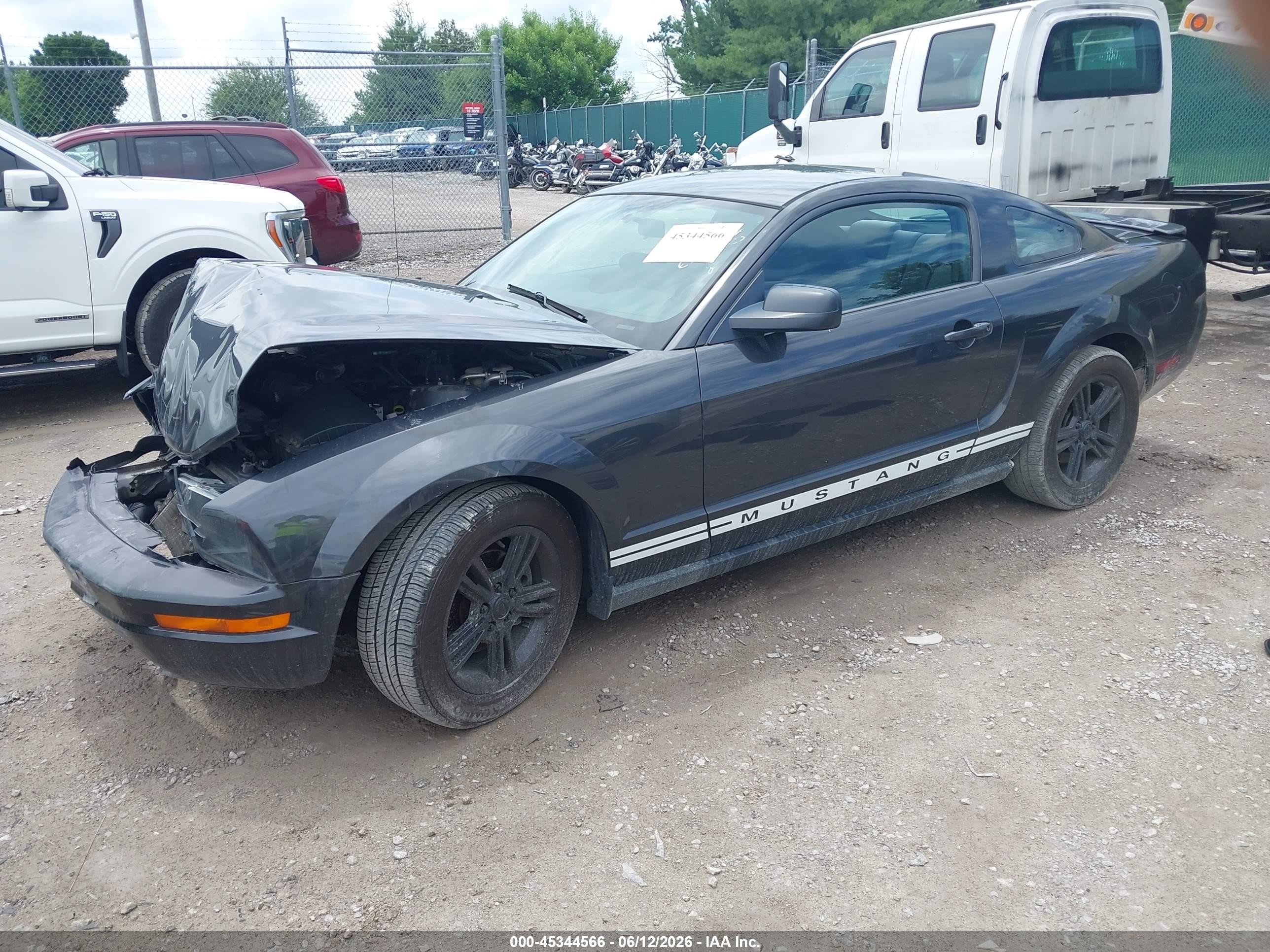 2008 Ford Mustang V6 Deluxe/v6 Premium Black vin: 1ZVHT80N685114746