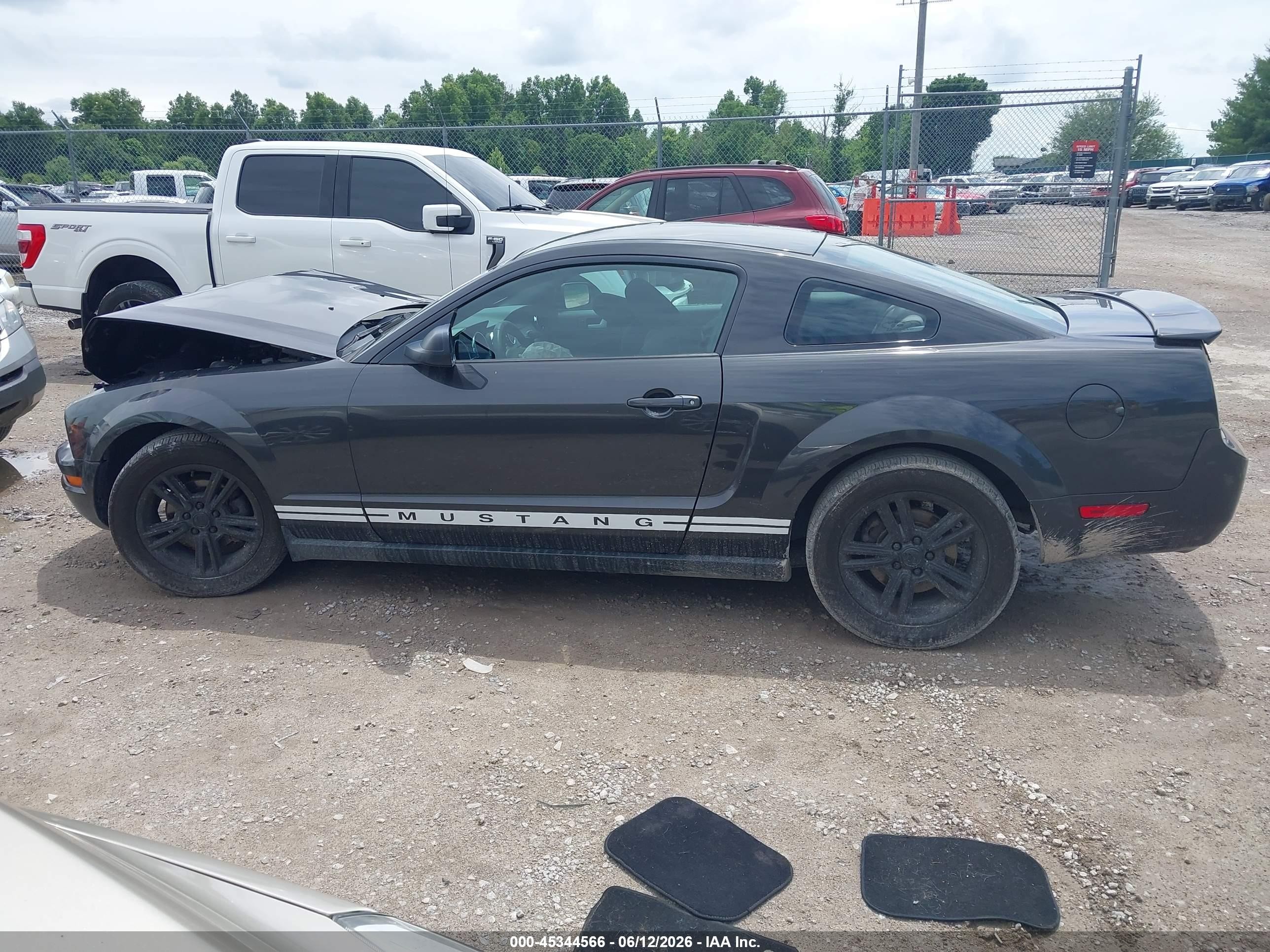 2008 Ford Mustang V6 Deluxe/v6 Premium Black vin: 1ZVHT80N685114746