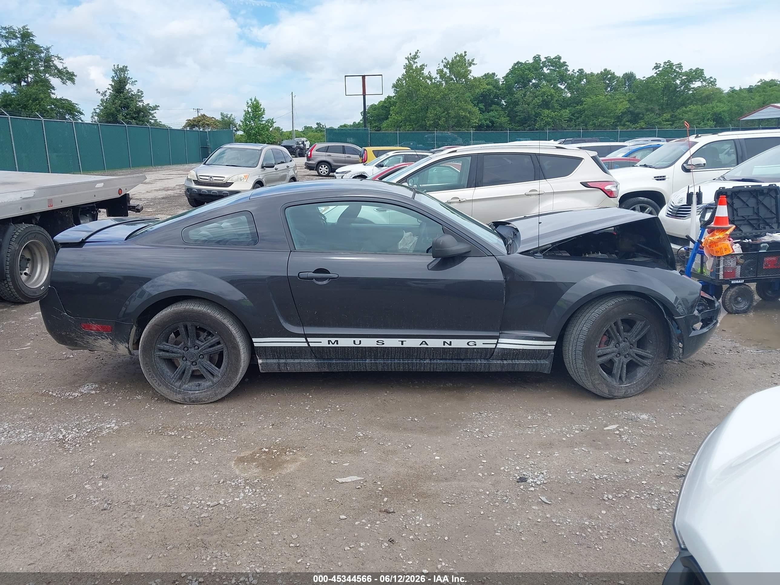 2008 Ford Mustang V6 Deluxe/v6 Premium Black vin: 1ZVHT80N685114746