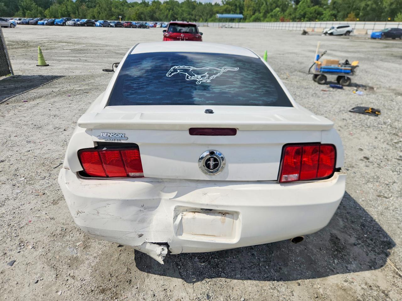 2008 Ford Mustang White vin: 1ZVHT80N685130851