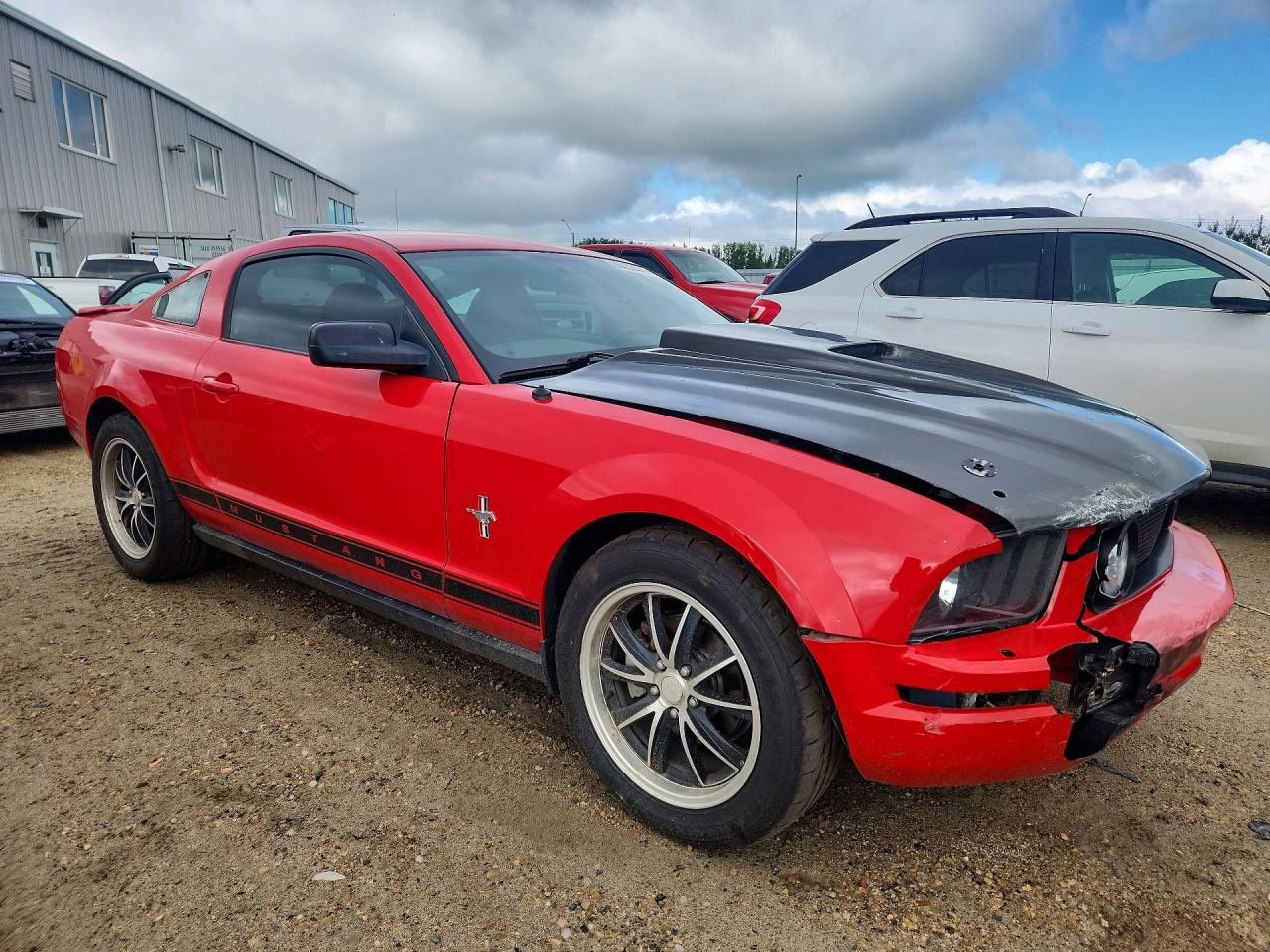 2008 Ford Mustang Красный vin: 1ZVHT80N685148010