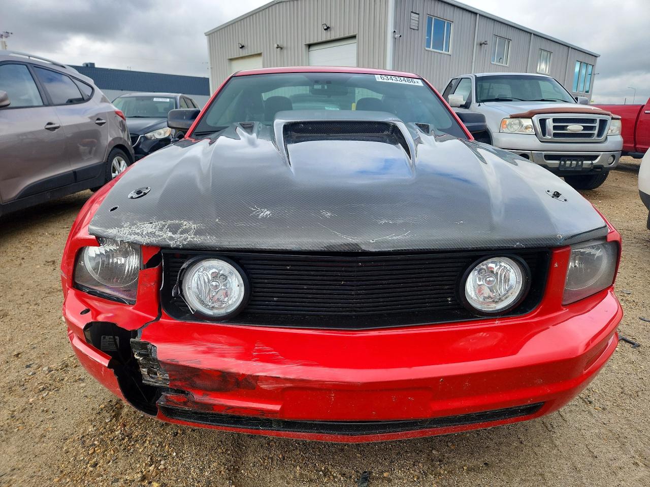 2008 Ford Mustang Красный vin: 1ZVHT80N685148010