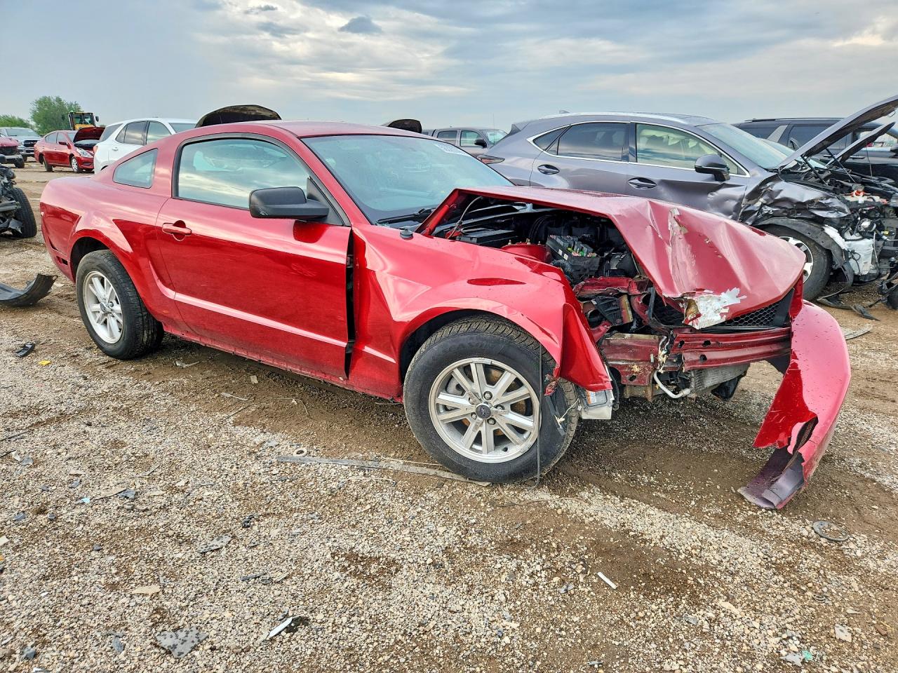2008 Ford Mustang Red vin: 1ZVHT80N685178351