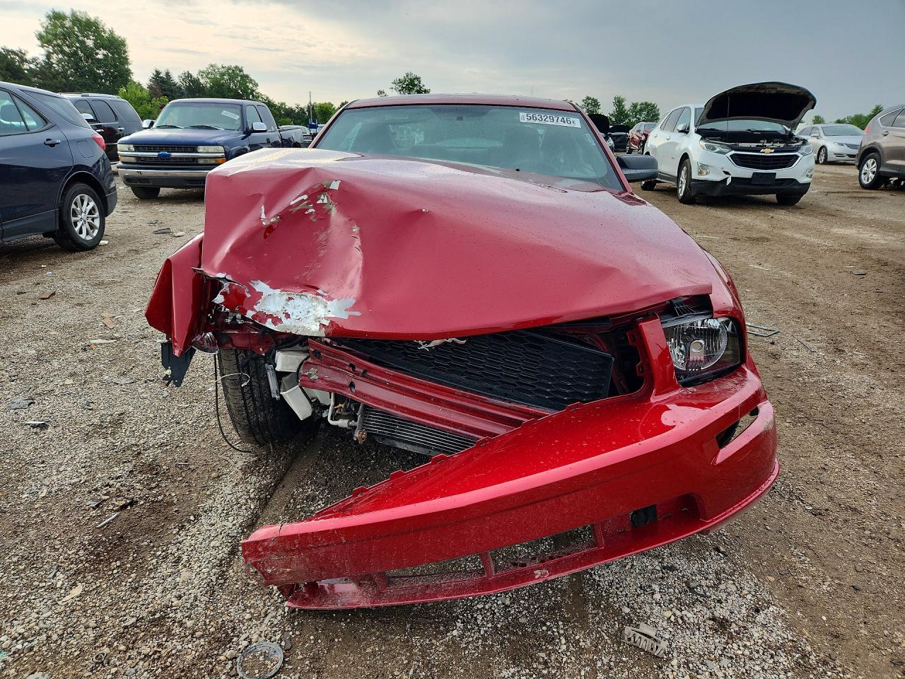 2008 Ford Mustang Red vin: 1ZVHT80N685178351