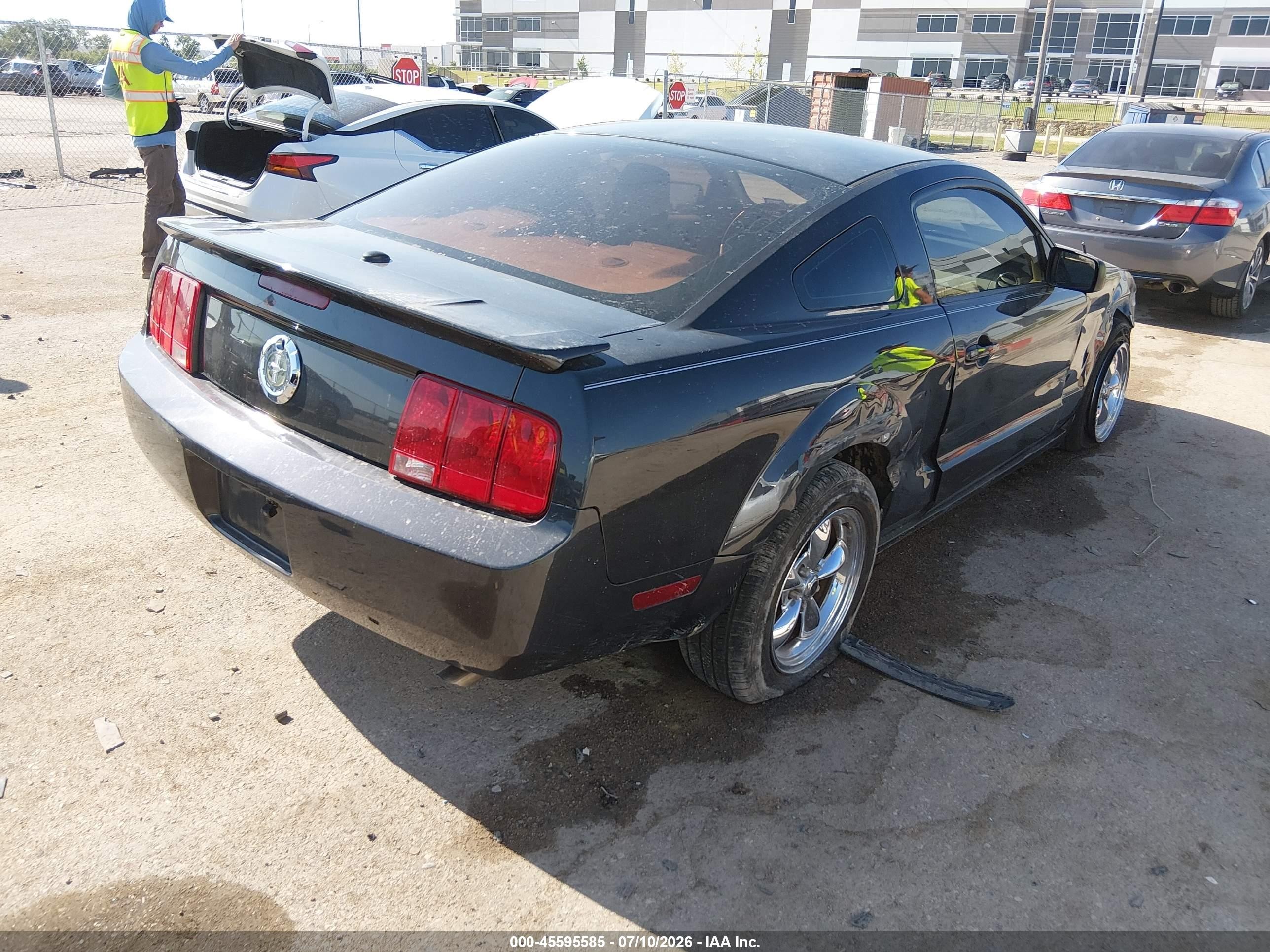 2009 Ford Mustang V6/v6 Premium Black vin: 1ZVHT80N695101934