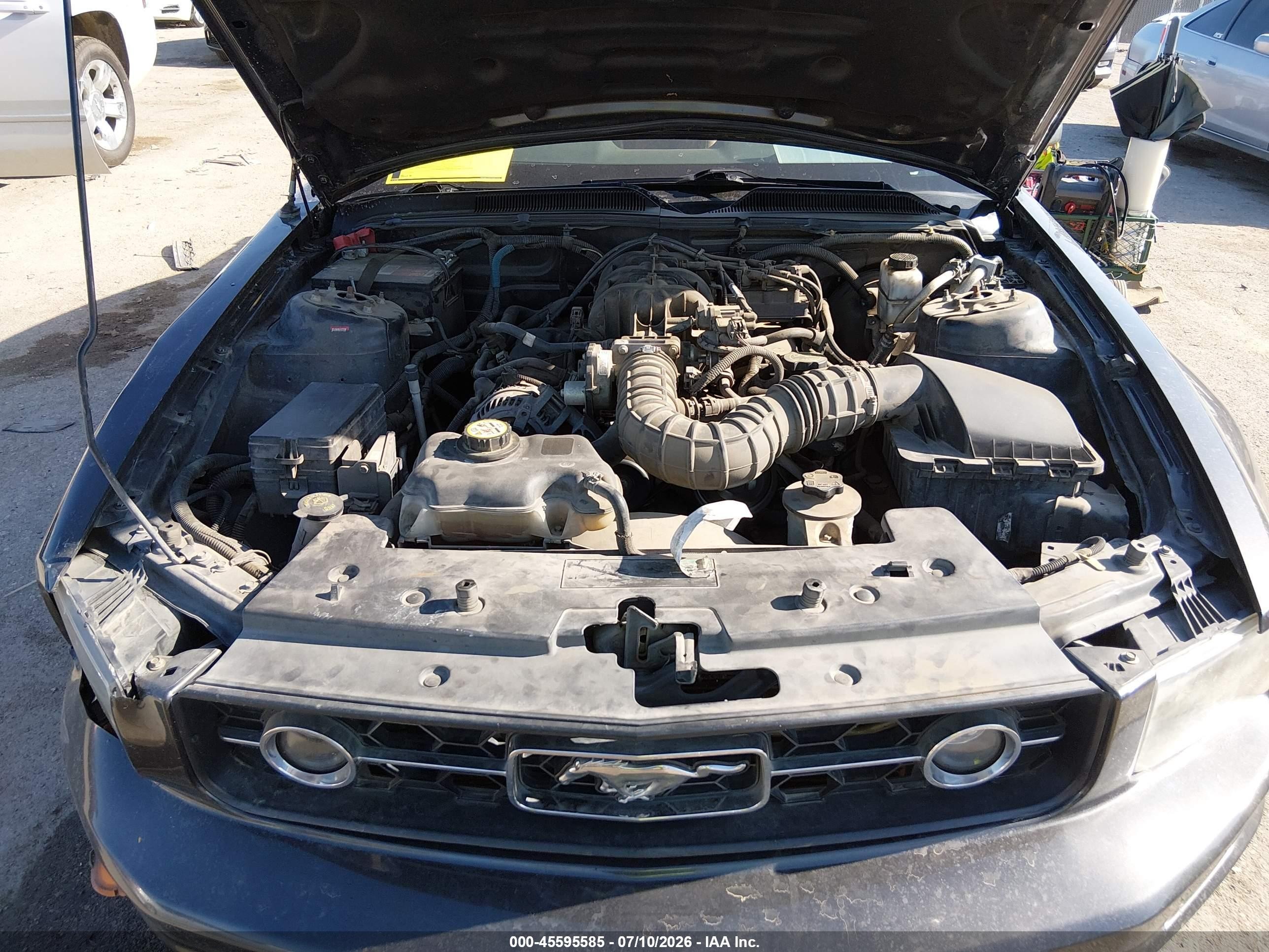 2009 Ford Mustang V6/v6 Premium Black vin: 1ZVHT80N695101934