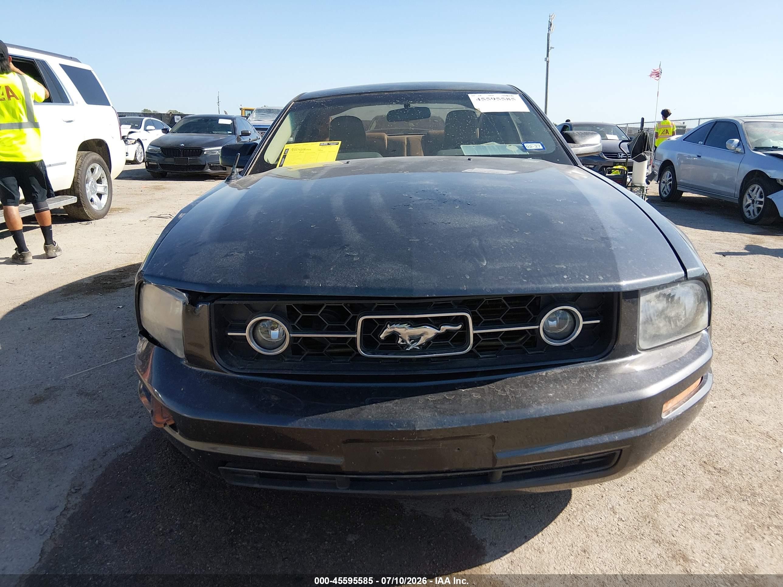 2009 Ford Mustang V6/v6 Premium Black vin: 1ZVHT80N695101934