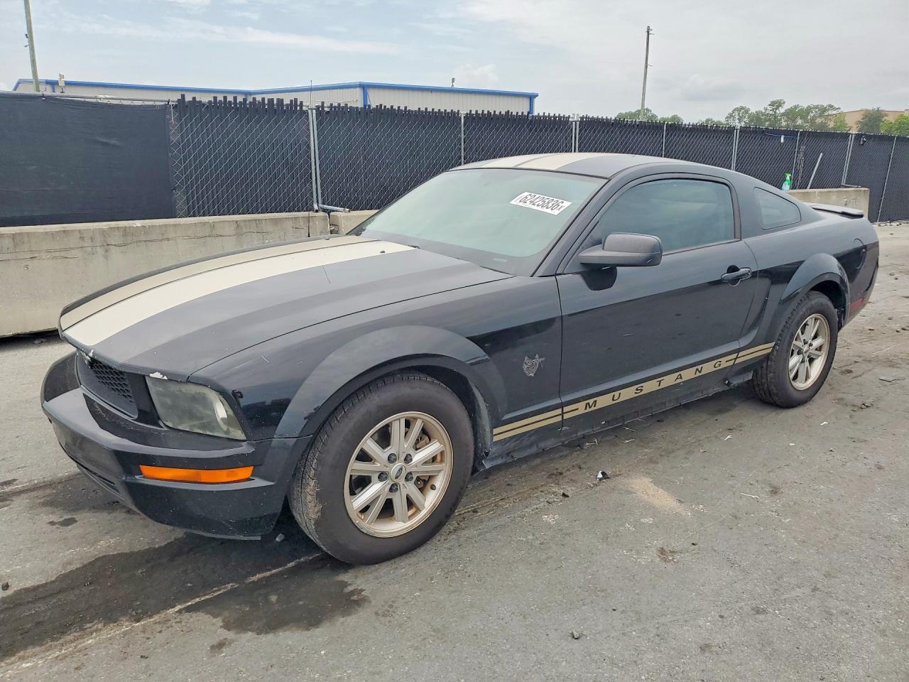2009 Ford Mustang Black vin: 1ZVHT80N695137042