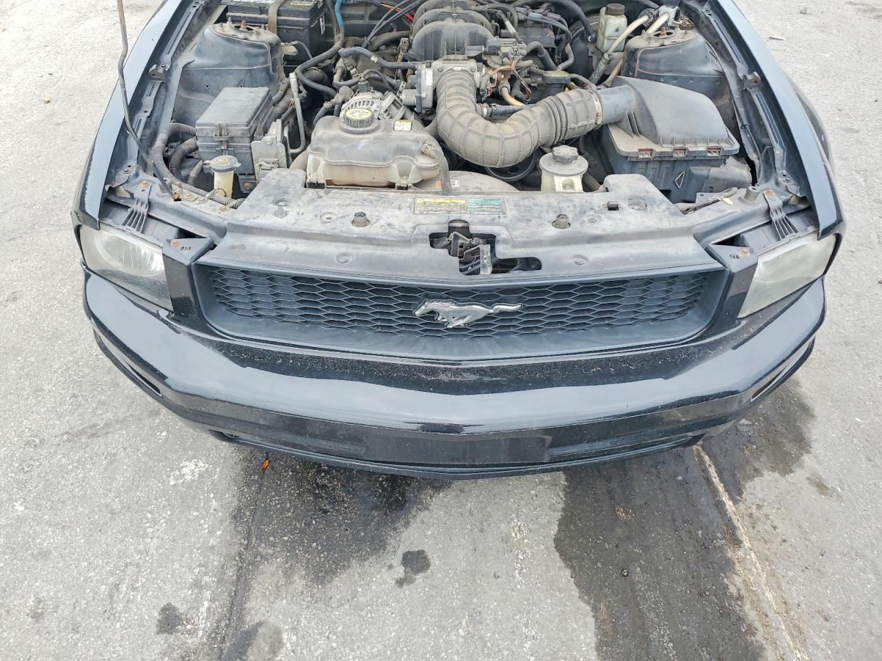 2009 Ford Mustang Black vin: 1ZVHT80N695137042