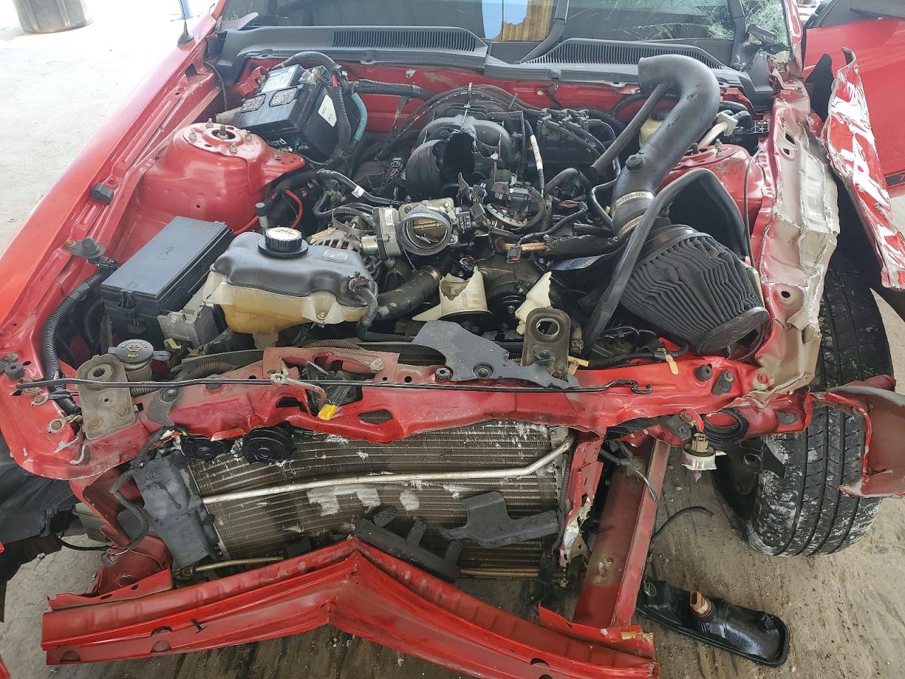 2006 Ford Mustang Red vin: 1ZVHT80N765139121