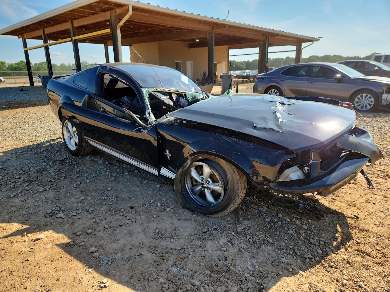 2007 Ford Mustang Black vin: 1ZVHT80N775303310