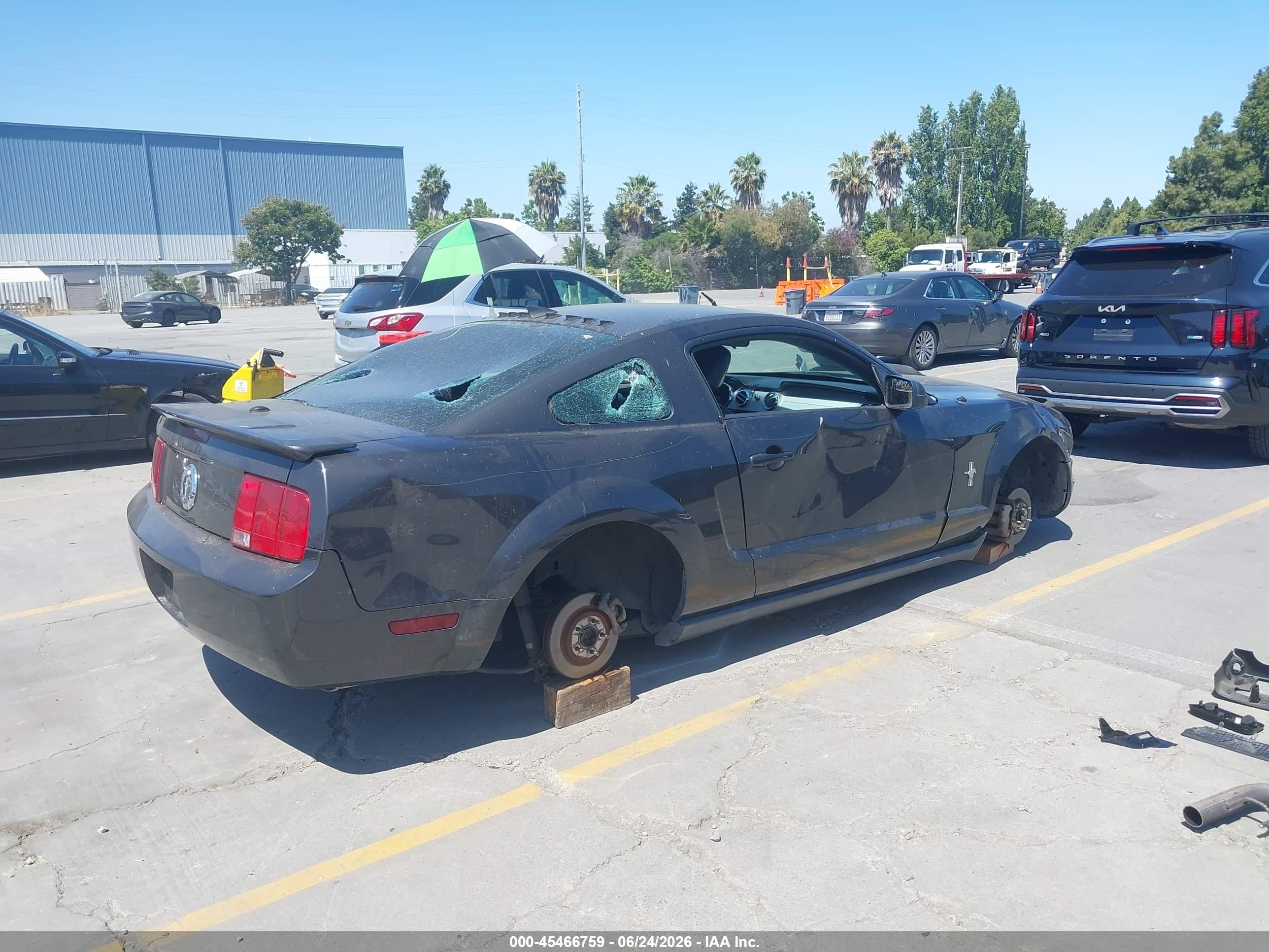 2008 Ford Mustang V6 Premium Black vin: 1ZVHT80N785134973