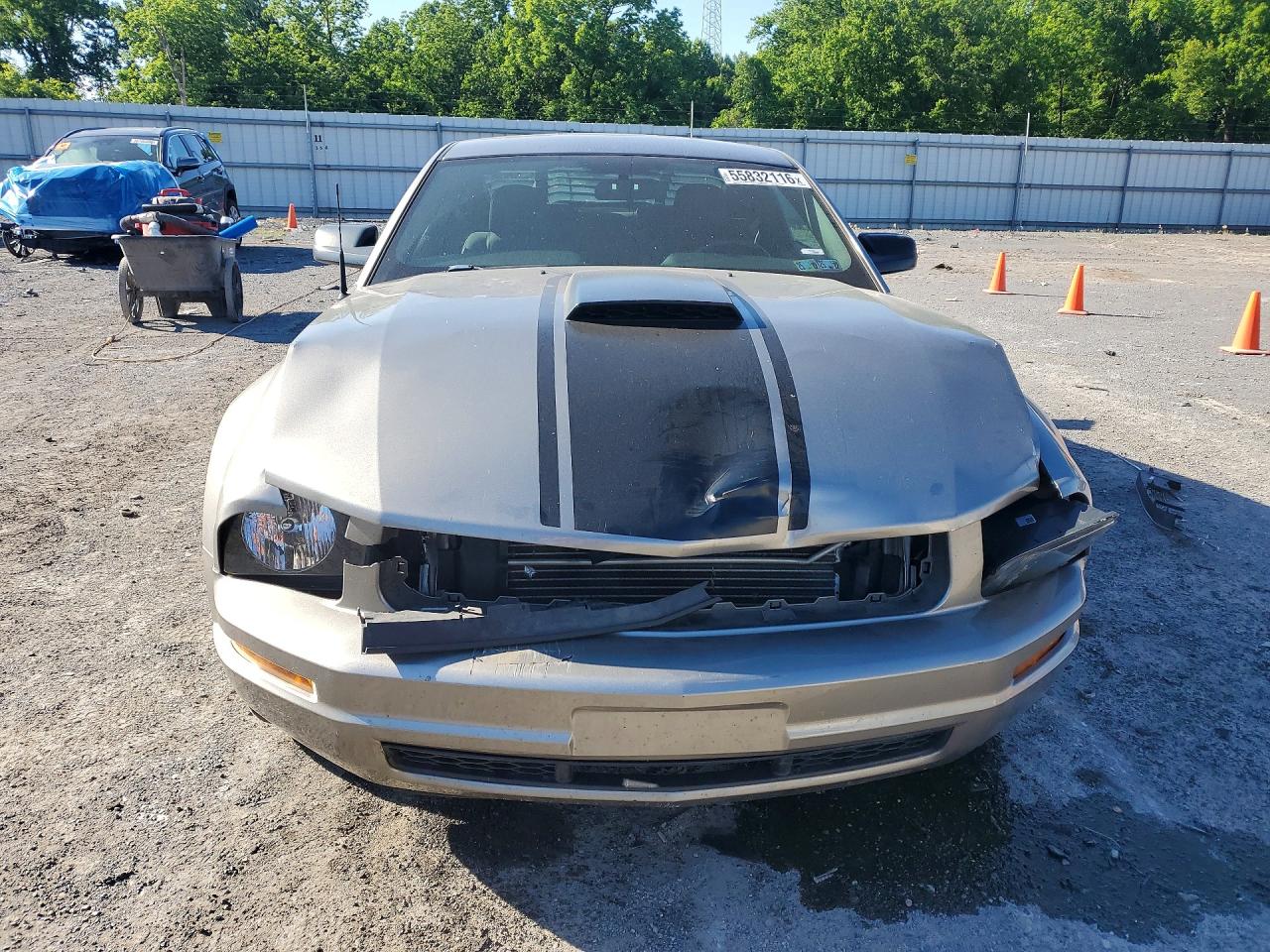 2008 Ford Mustang Silver vin: 1ZVHT80N785187639