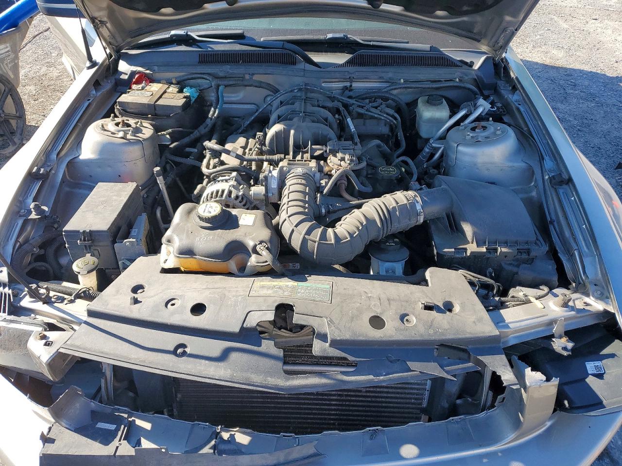 2008 Ford Mustang Silver vin: 1ZVHT80N785187639