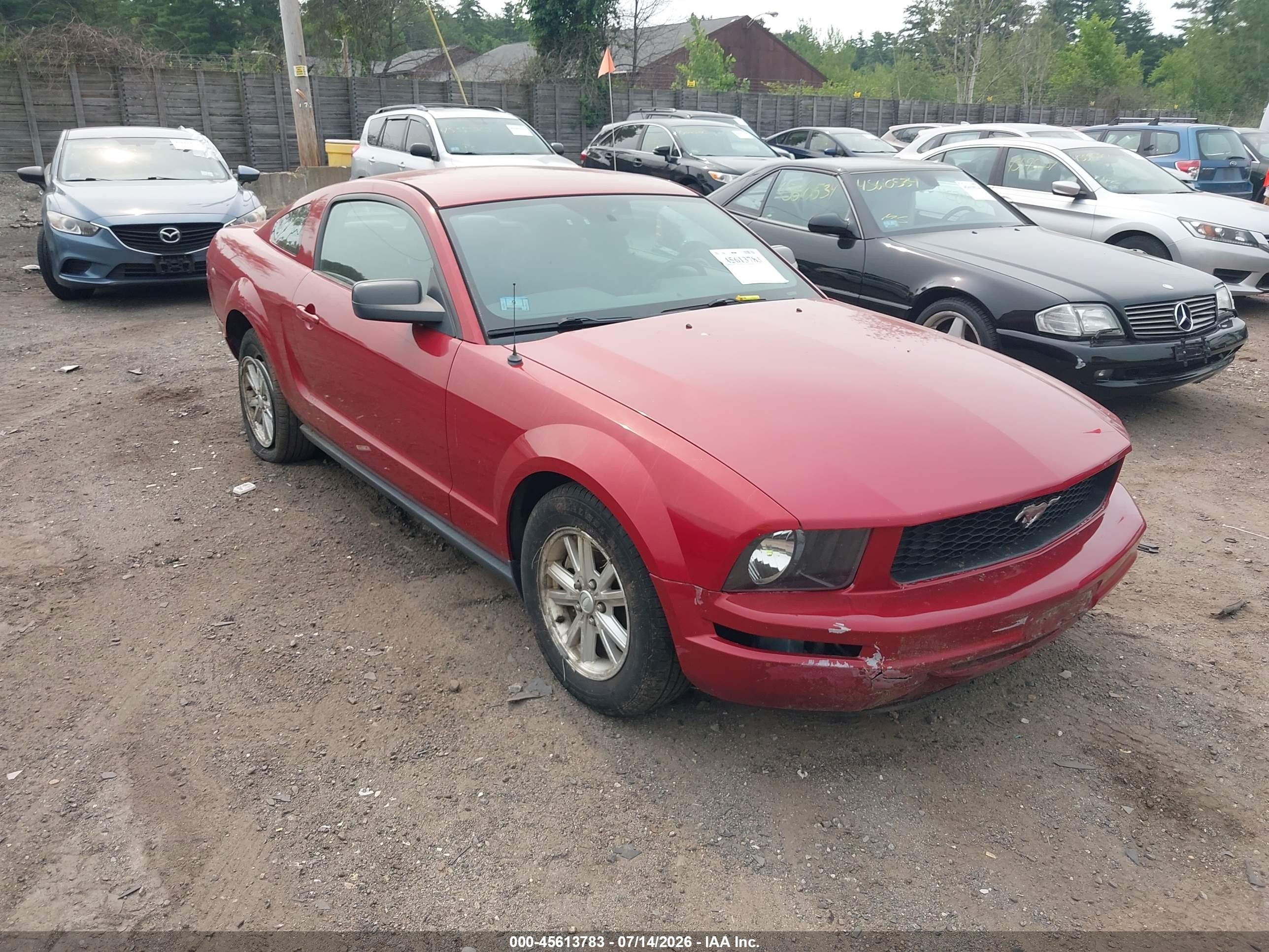 2008 Ford Mustang   Red vin: 1ZVHT80N785199080