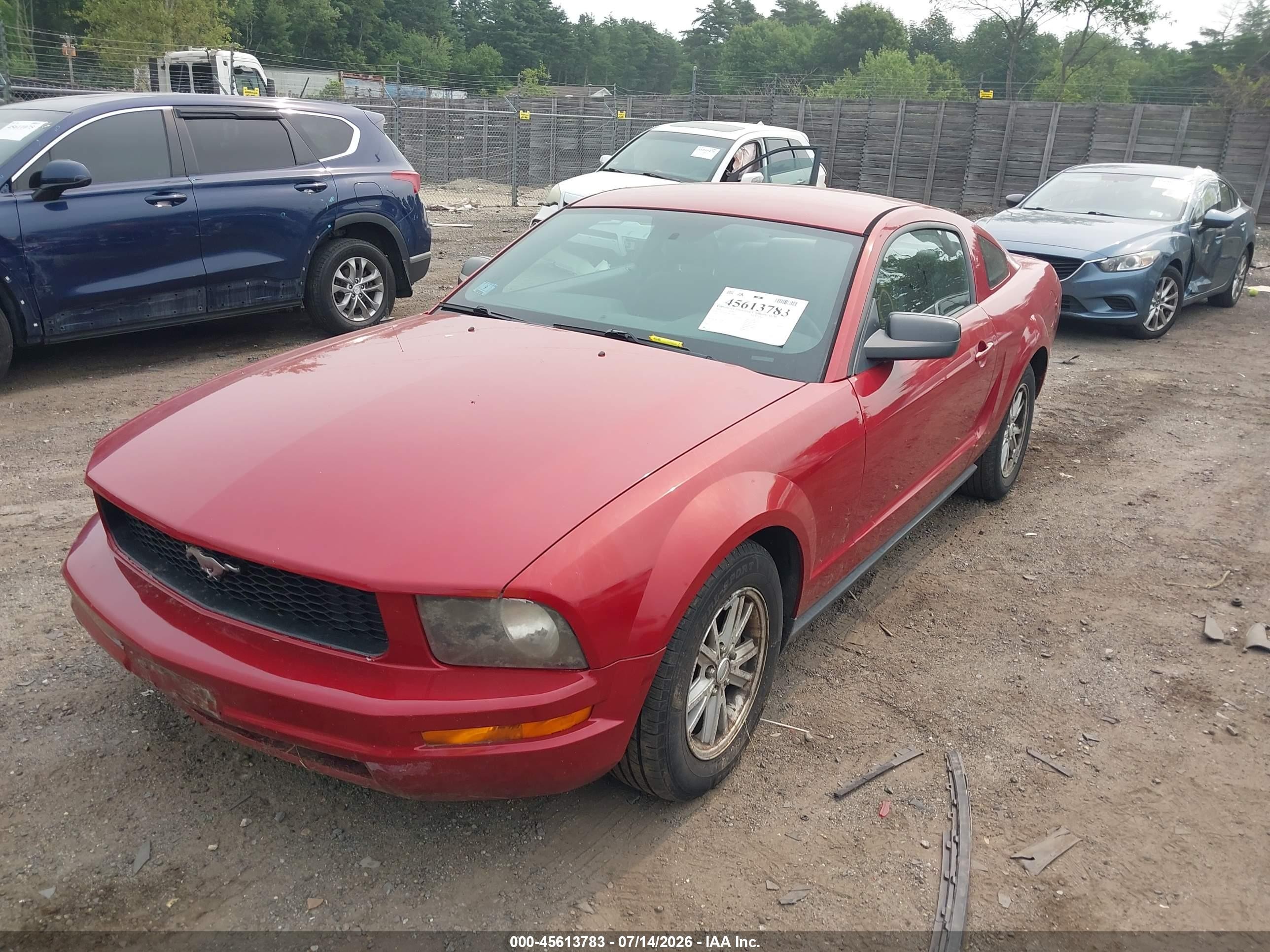 2008 Ford Mustang   Red vin: 1ZVHT80N785199080