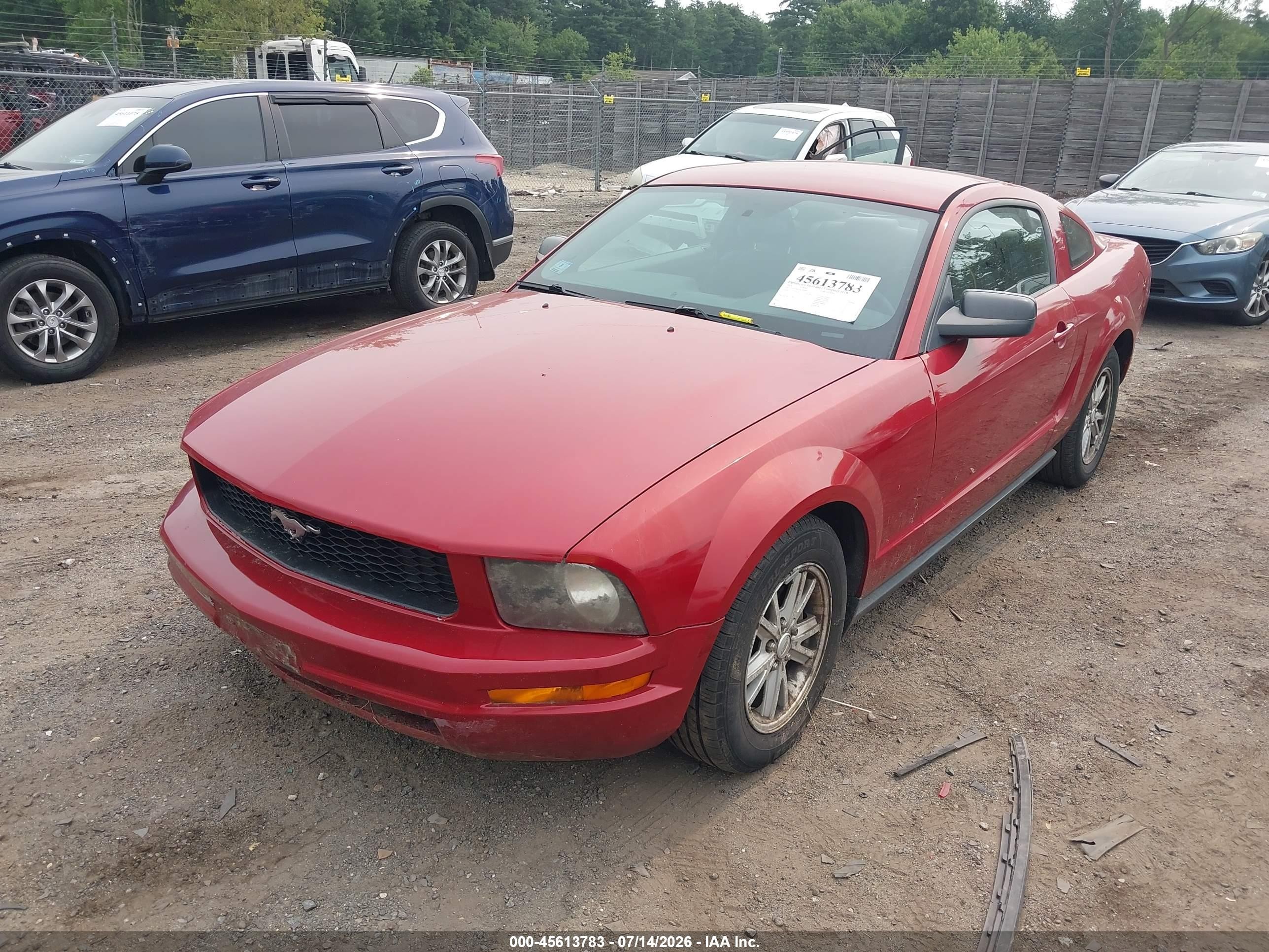 2008 Ford Mustang   Red vin: 1ZVHT80N785199080