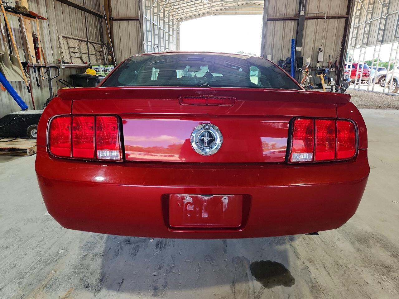 2009 Ford Mustang Red vin: 1ZVHT80N795102333