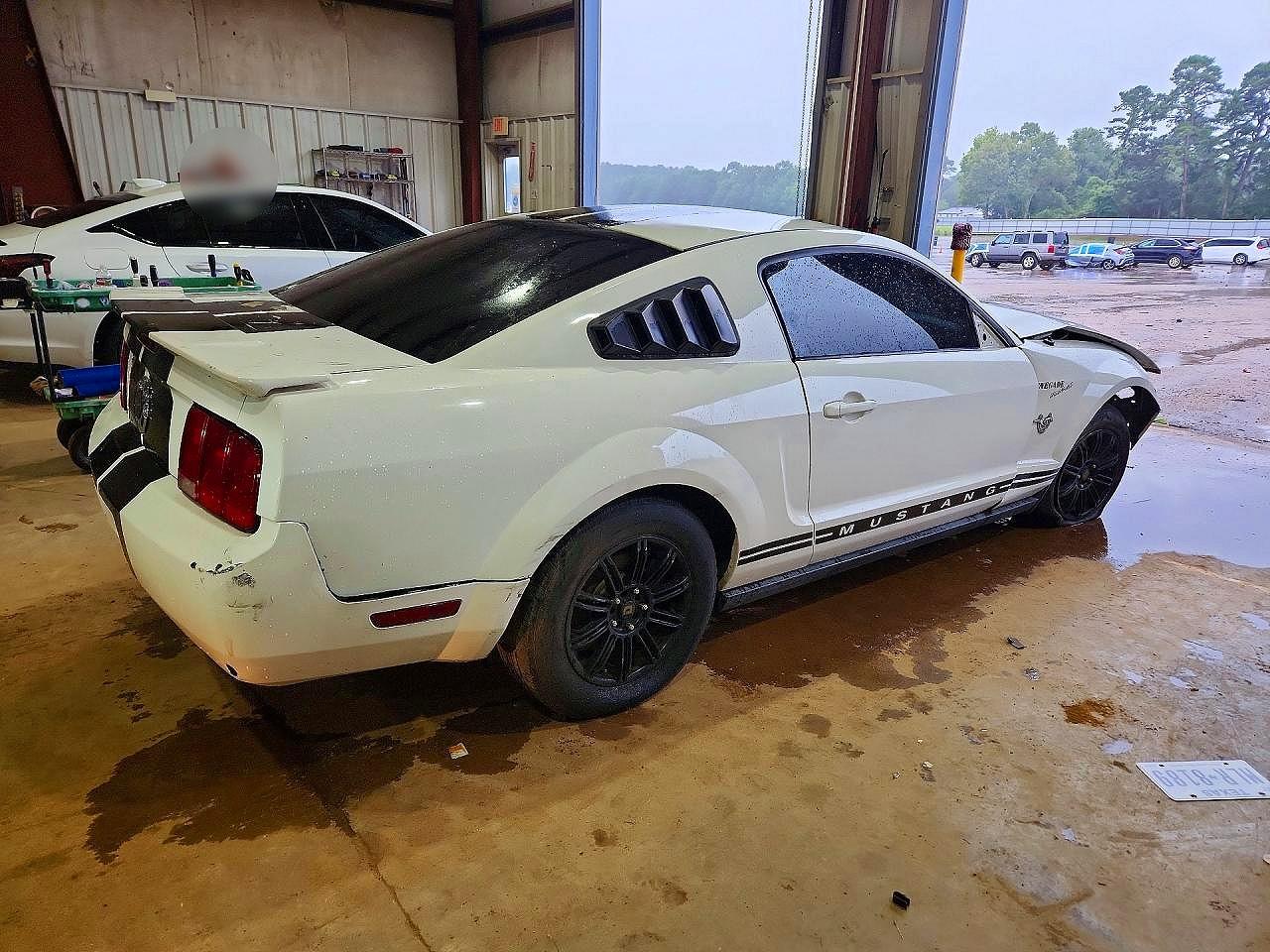 2009 Ford Mustang White vin: 1ZVHT80N795110898