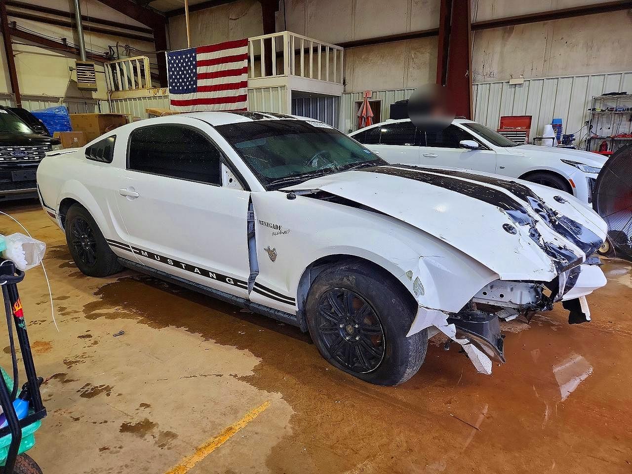 2009 Ford Mustang White vin: 1ZVHT80N795110898