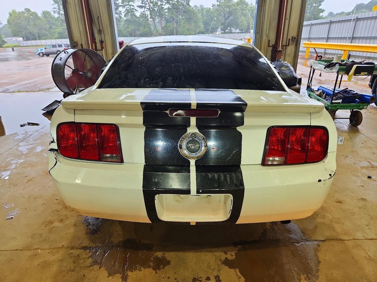 2009 Ford Mustang White vin: 1ZVHT80N795110898